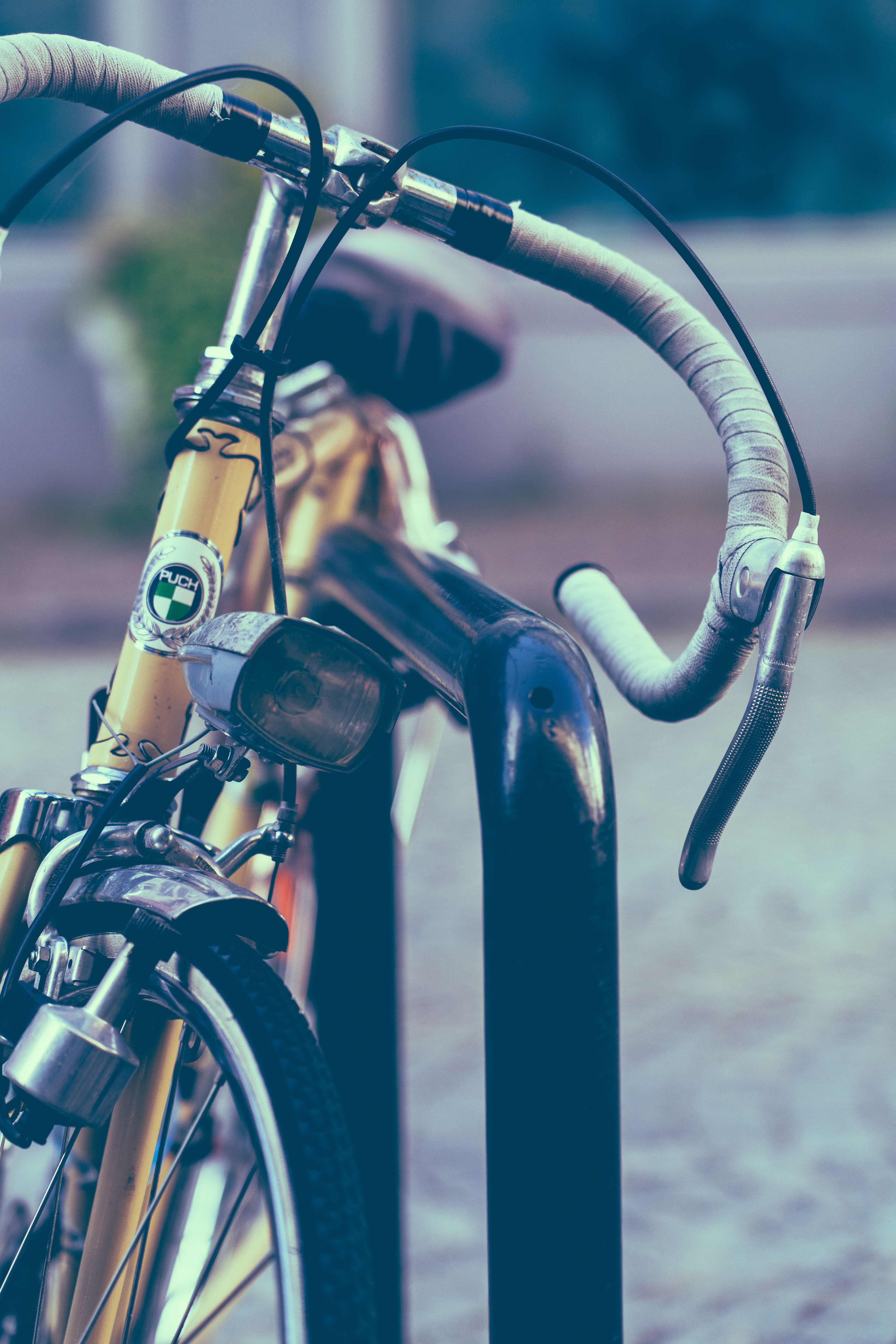 Veronika Rauch - Puch Fahrrad