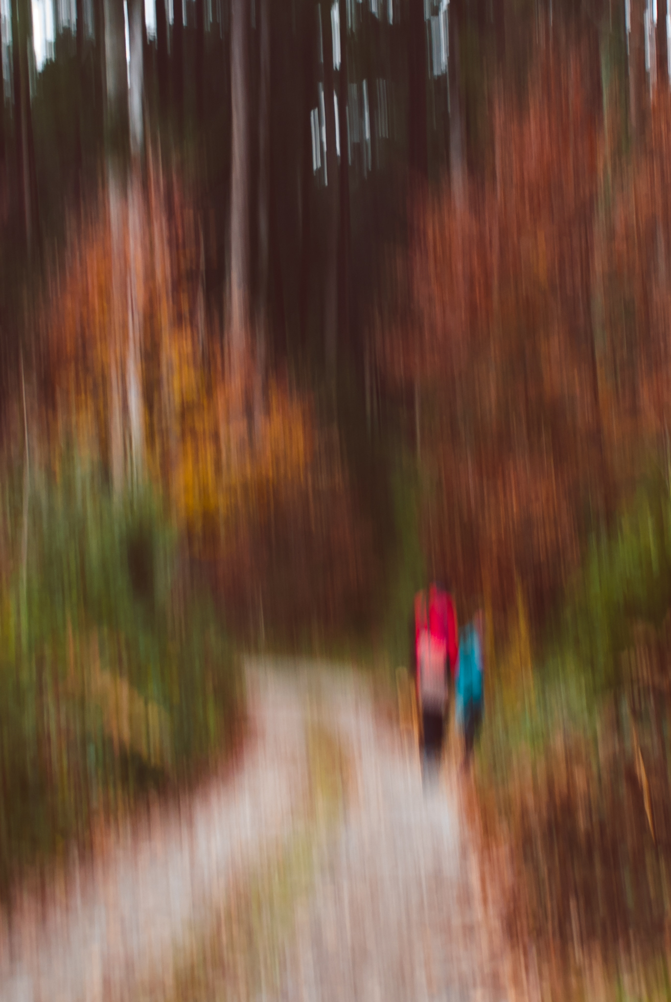 Veronika Rauch - zwei Personen spazieren im Wald