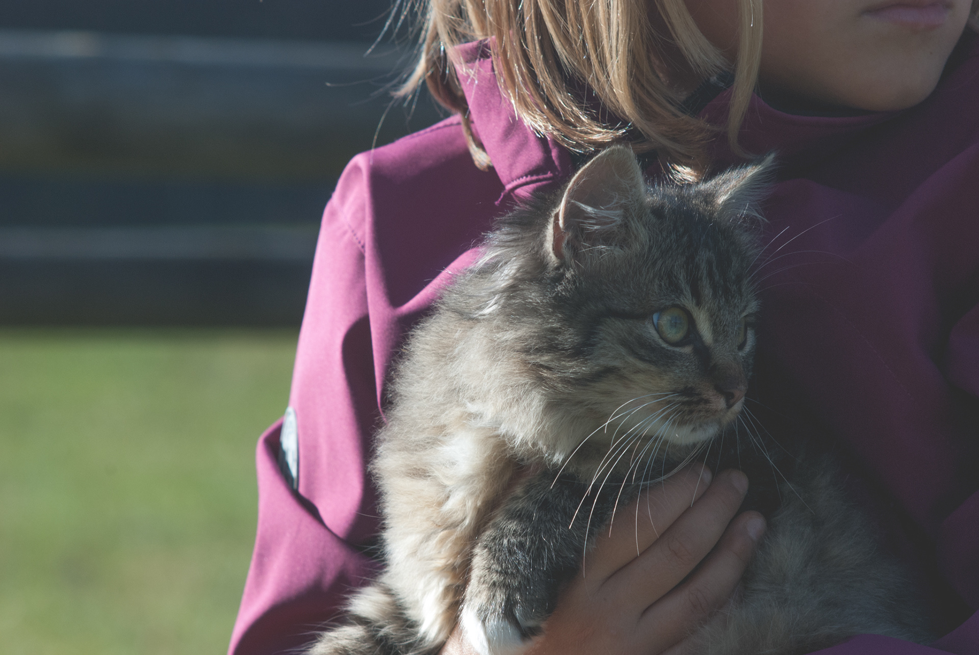 Veronika Rauch - Kind mit Katze im Arm