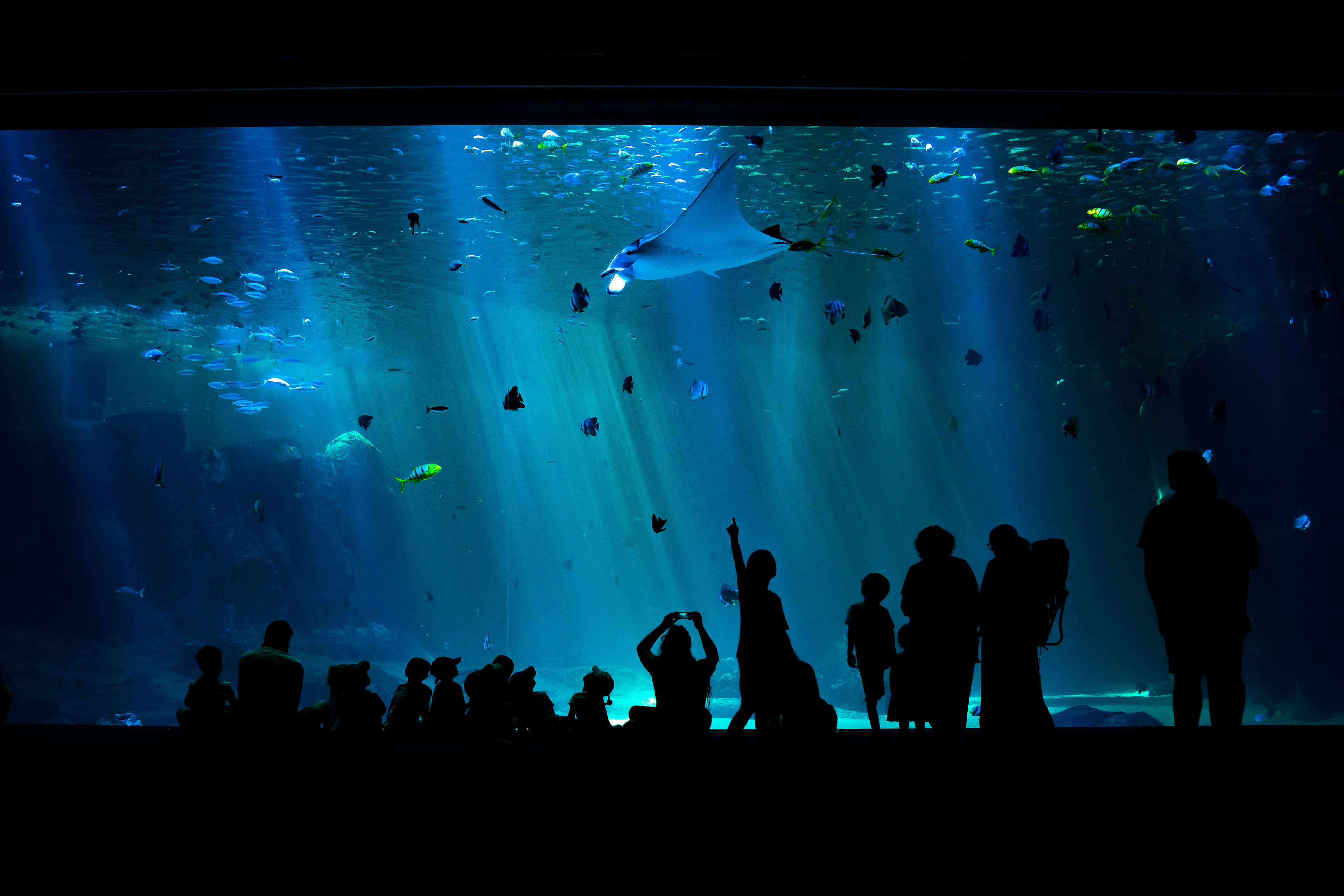 Veronika Rauch - Menschen vor grossem Aquarium als Silhouetten
