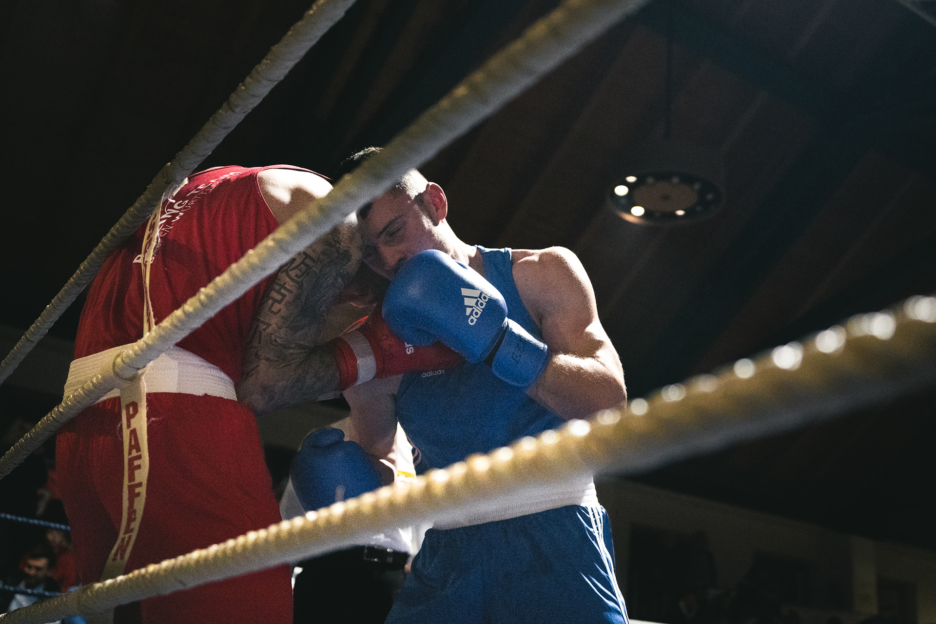 Veronika Rauch - zwei Boxer im Ring