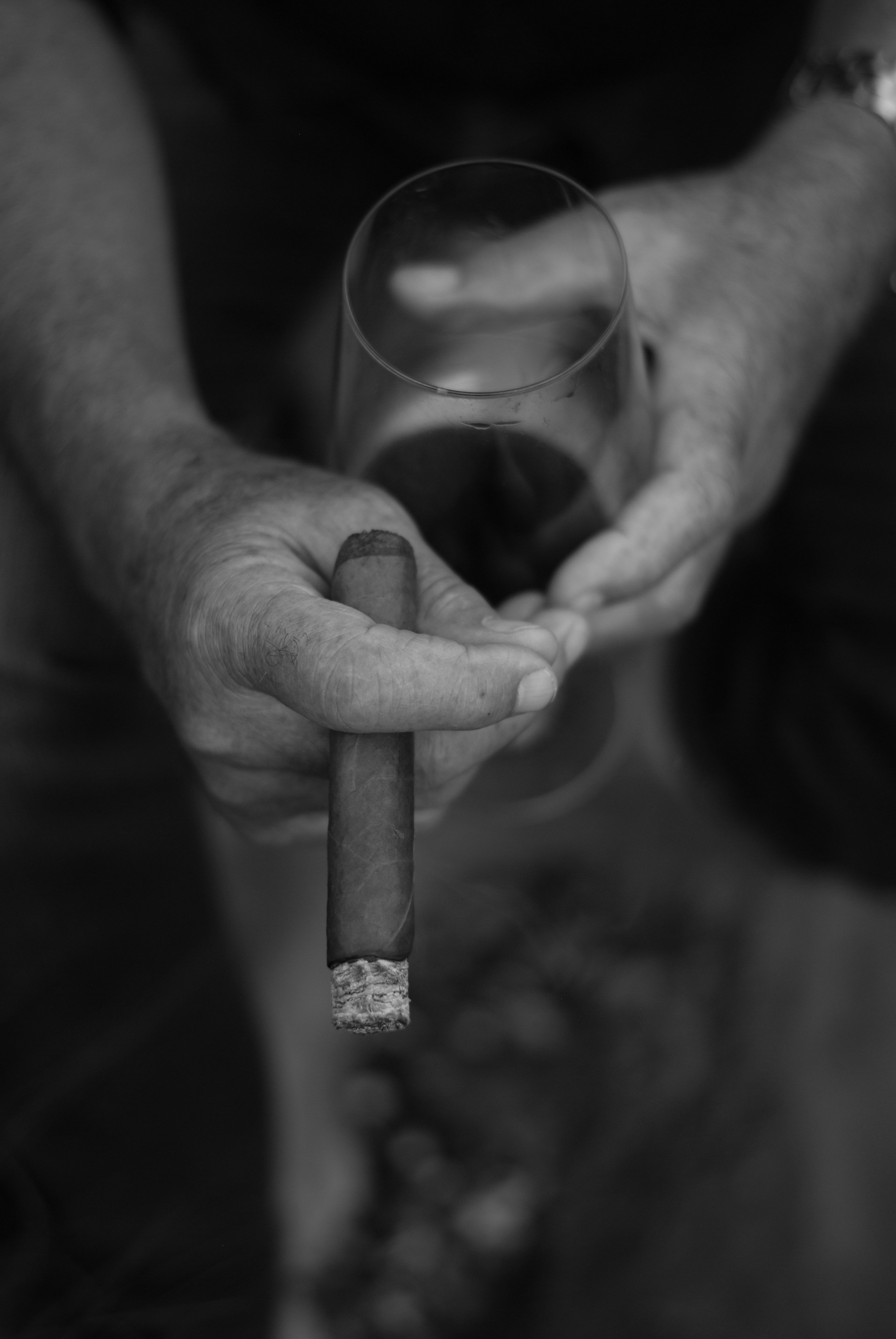 Veronika Rauch - Haende mit Zigarre und Glas Wein