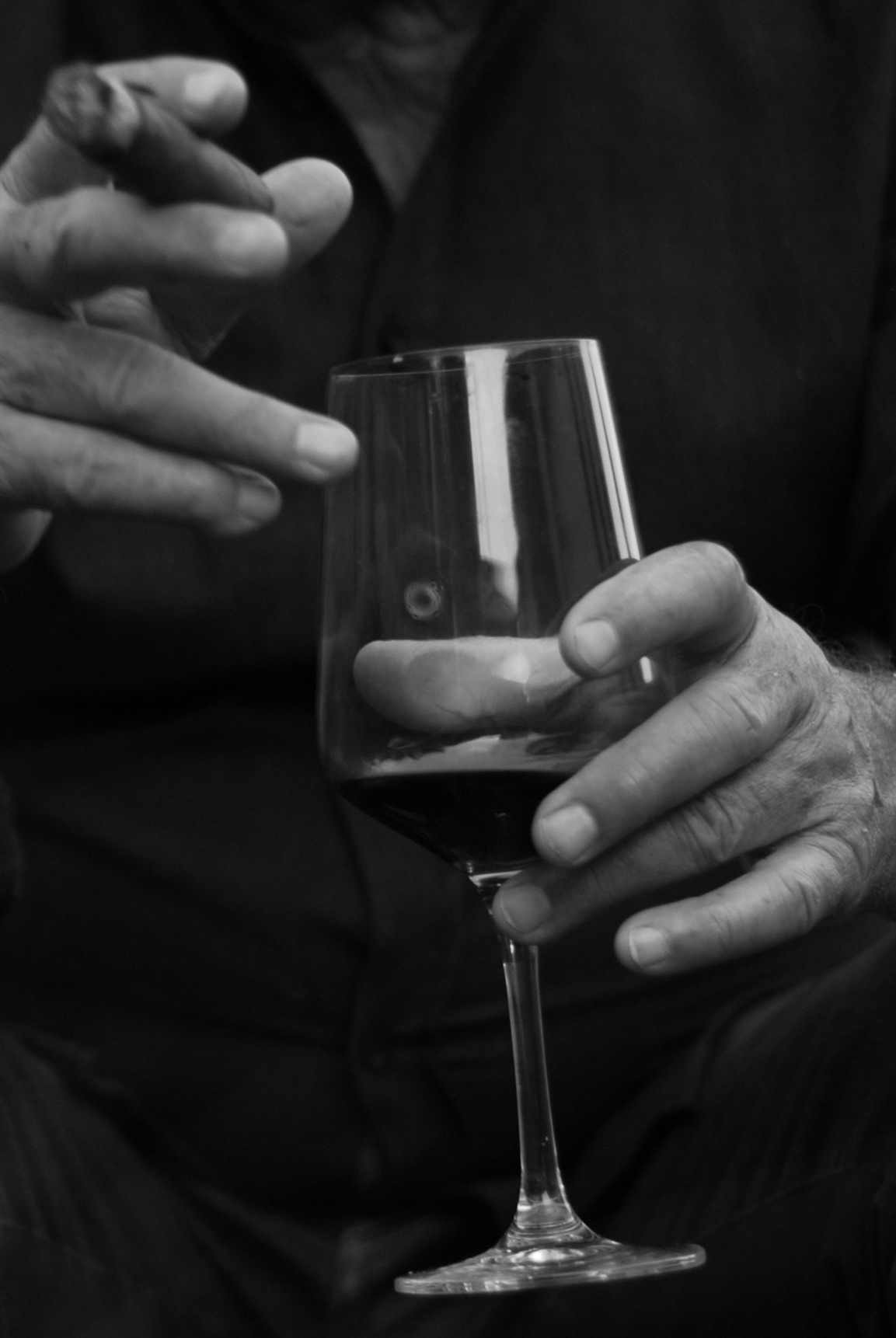 Veronika Rauch - Haende mit Weinglas und Zigarre