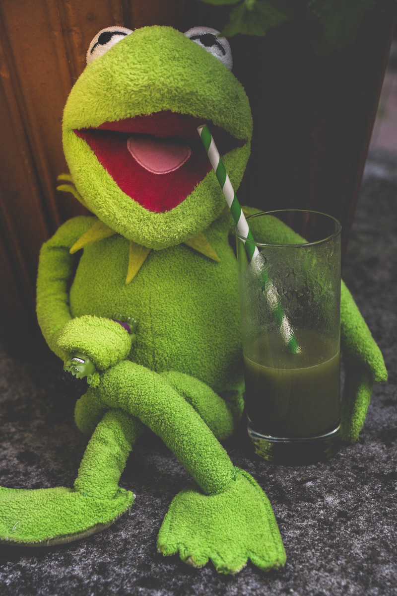 veronika rauch - gruen frosch trinken