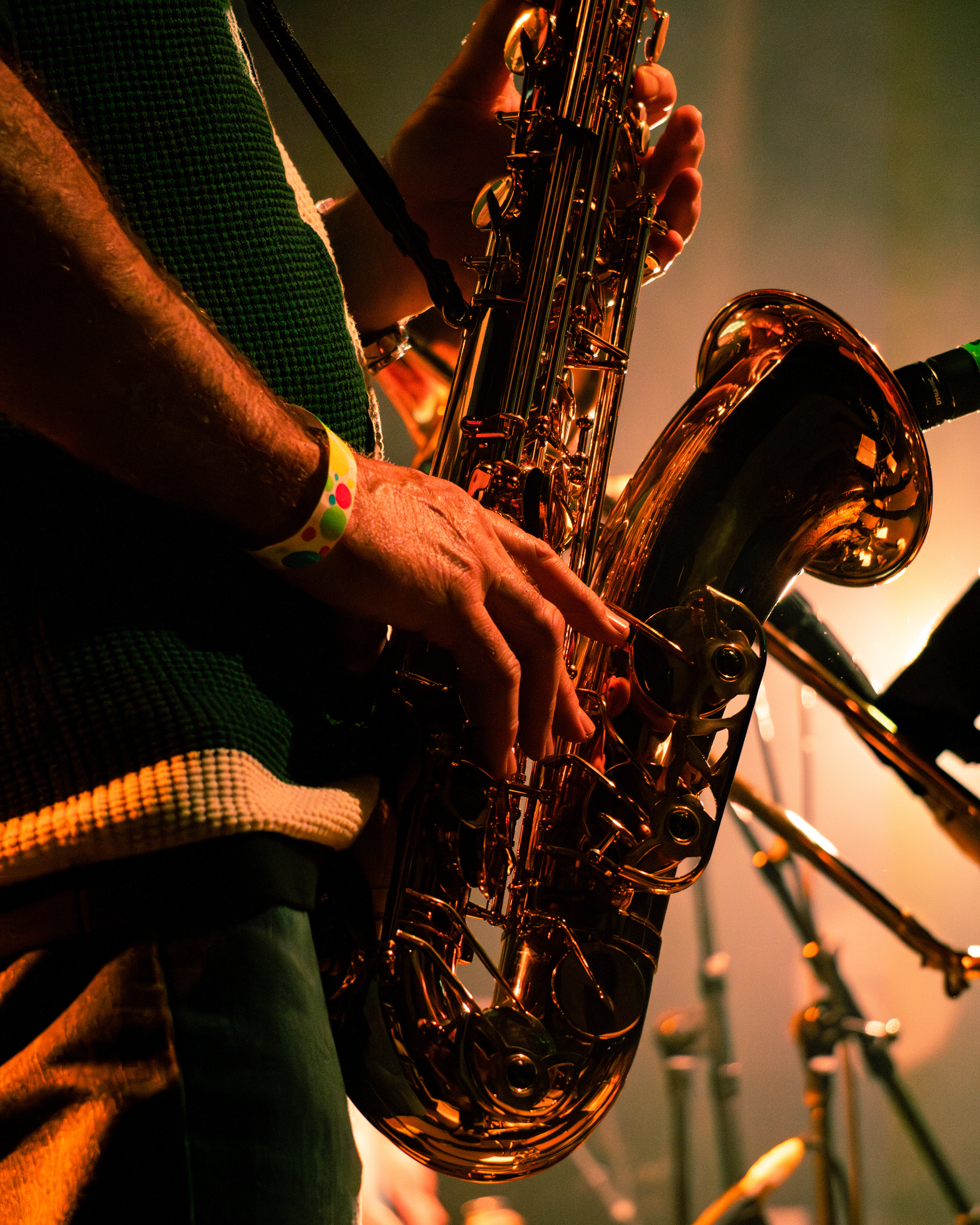 Furious Turtles 2023