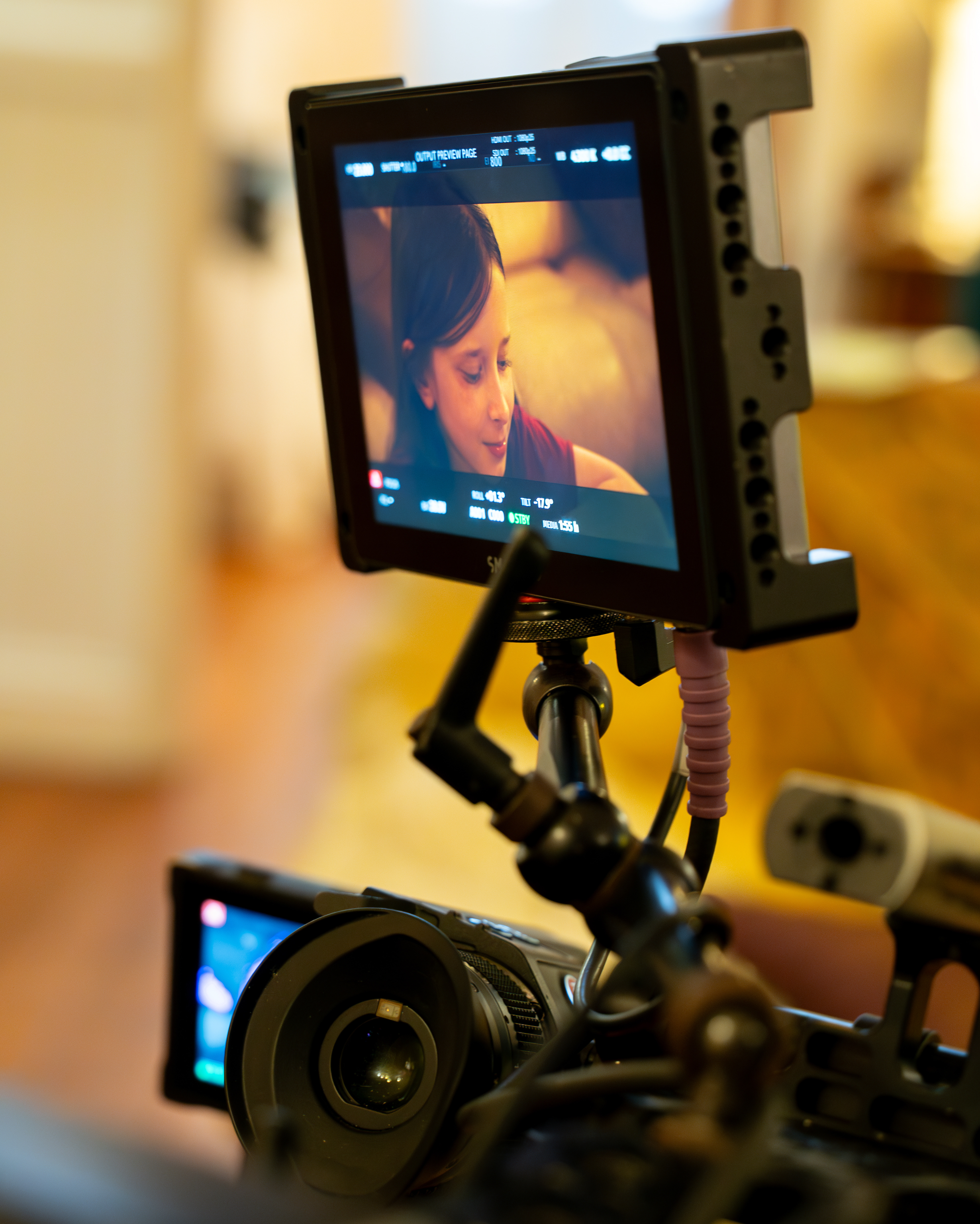 Ham Sandwich BTS 2024