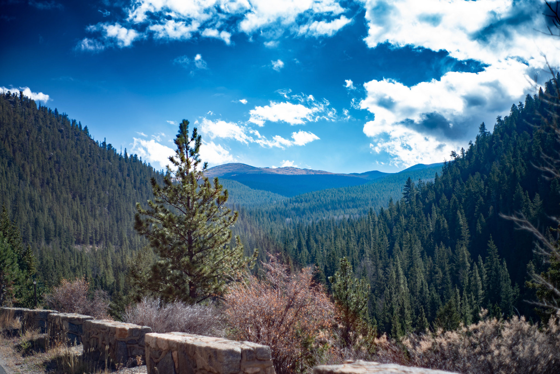 PENTAX K-1 PENTAX-A 50mm F2