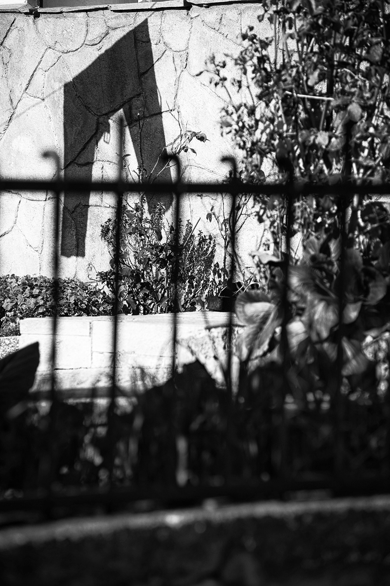Ασπρόμαυρη καλλιτεχνική φωτογραφία δρόμου καδραρισμένη πίσω από ένα μεταλλικό κάγκελο, που αποτυπώνει την έντονη σκιά ενός απλωμένου παντελονιού πάνω σε έναν ανάγλυφο τοίχο, από τη φωτογράφο Βούλα Γκώτη.  Abstract black and white street photography framed through an iron fence, capturing the sharp shadow of a pair of trousers hanging on a textured wall, shot by photographer Voula Gkoti.