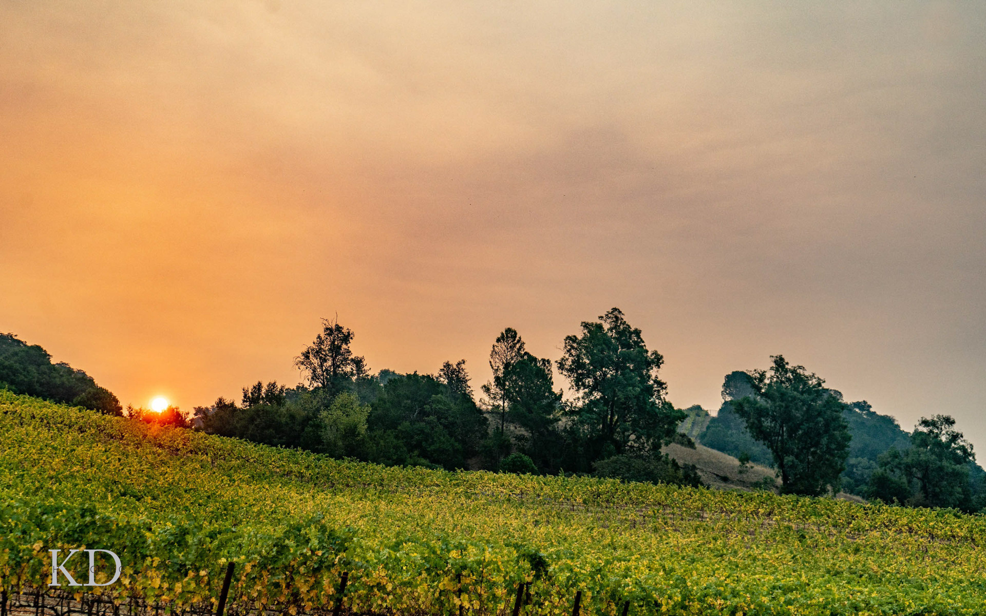 Resort lifestyle photographer golf 