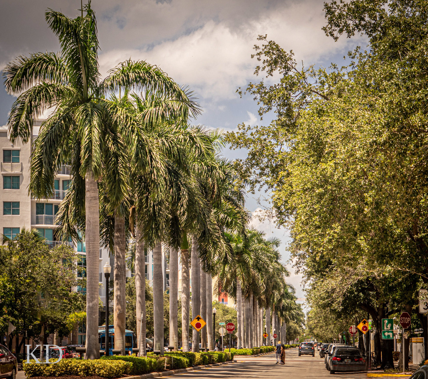 Maimi Beach photographer