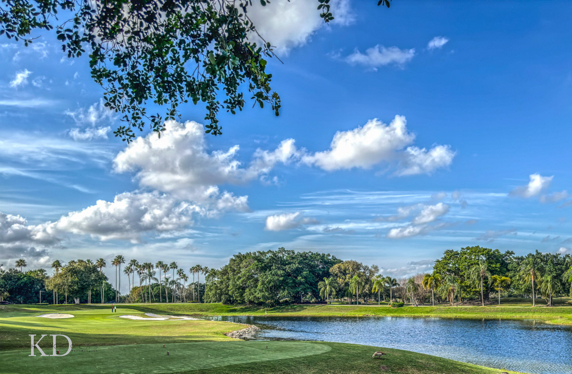 Palm Beach golf photography