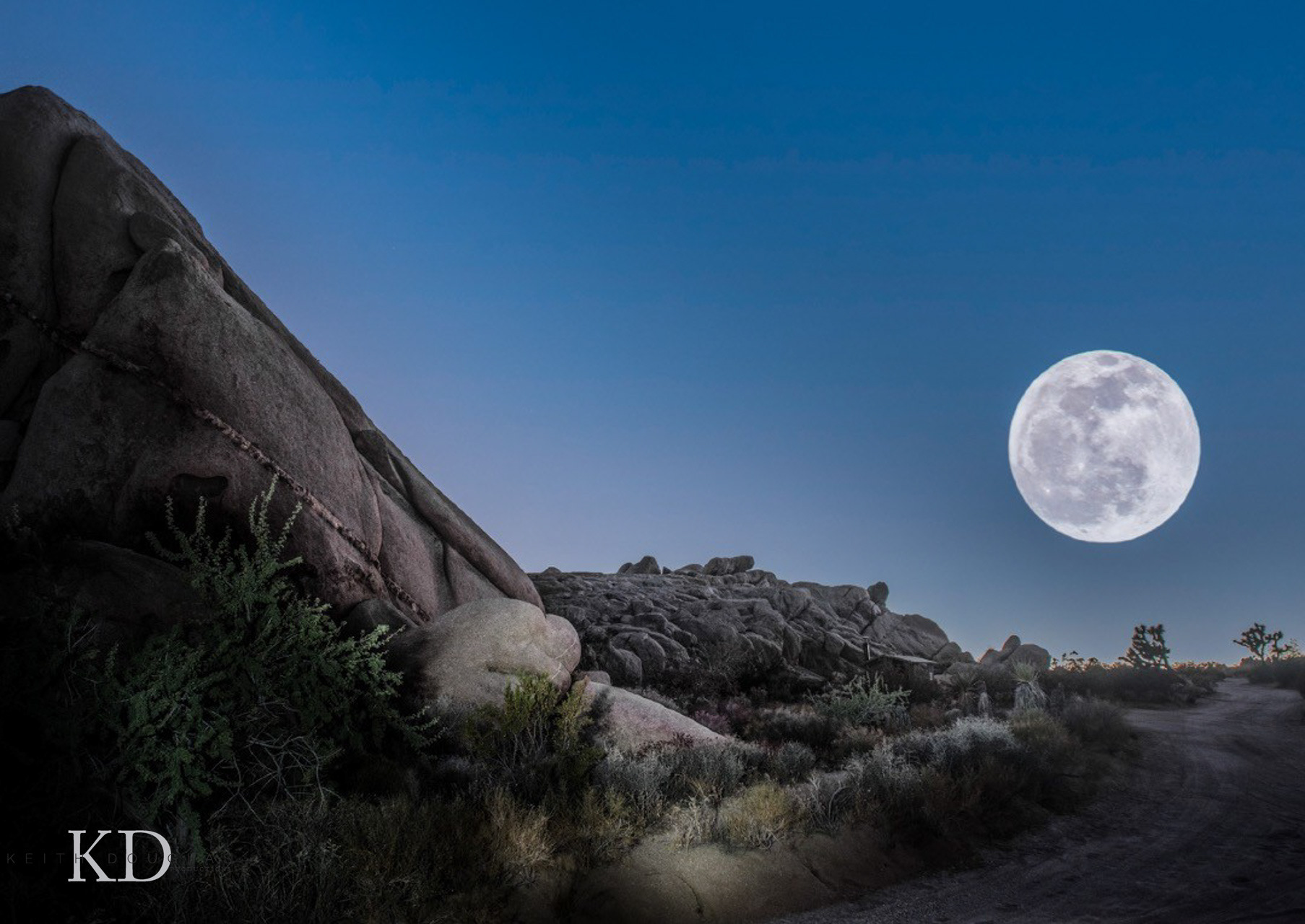 Joshua tree landscape with moon