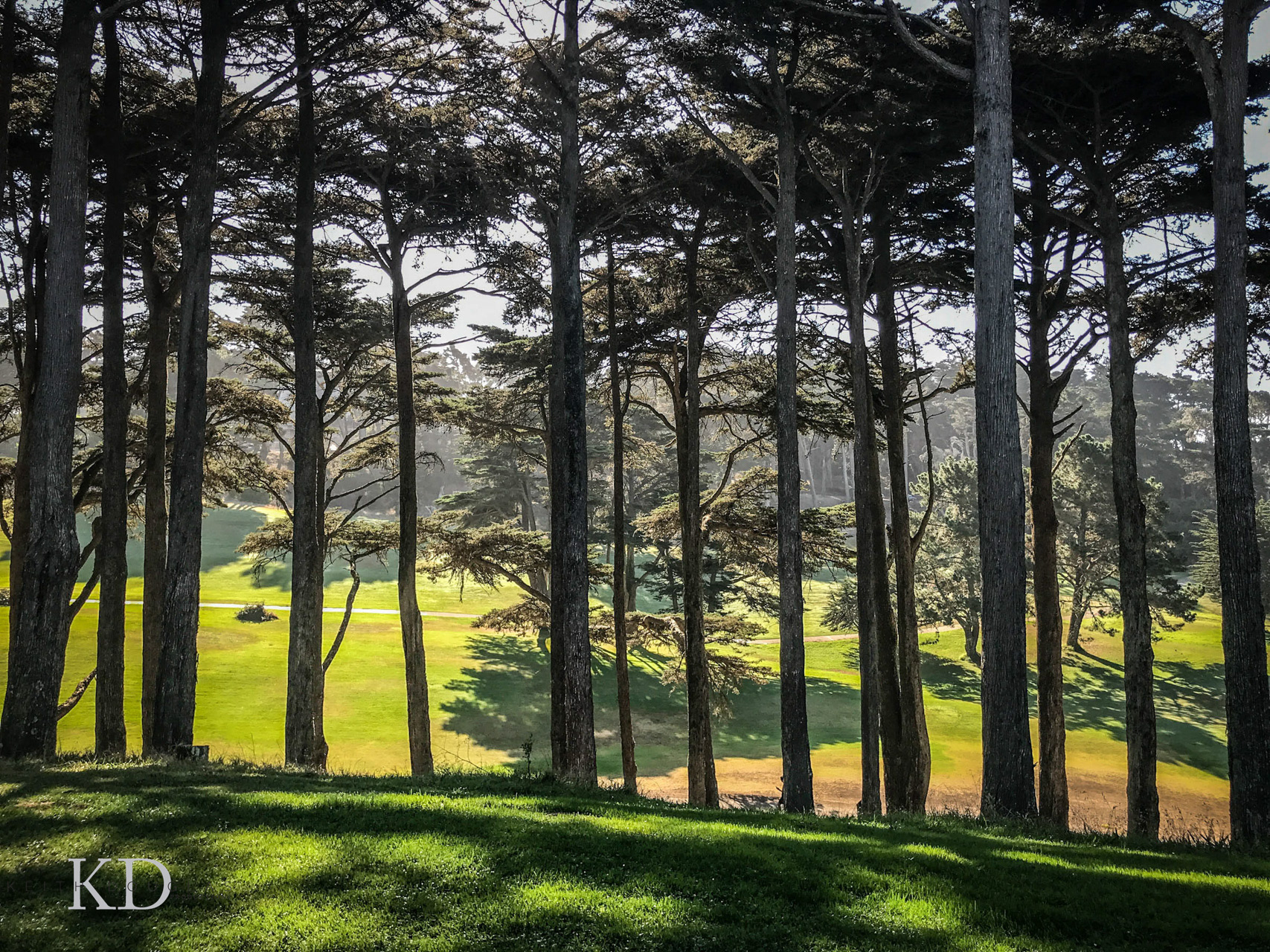  Lincoln park golf course