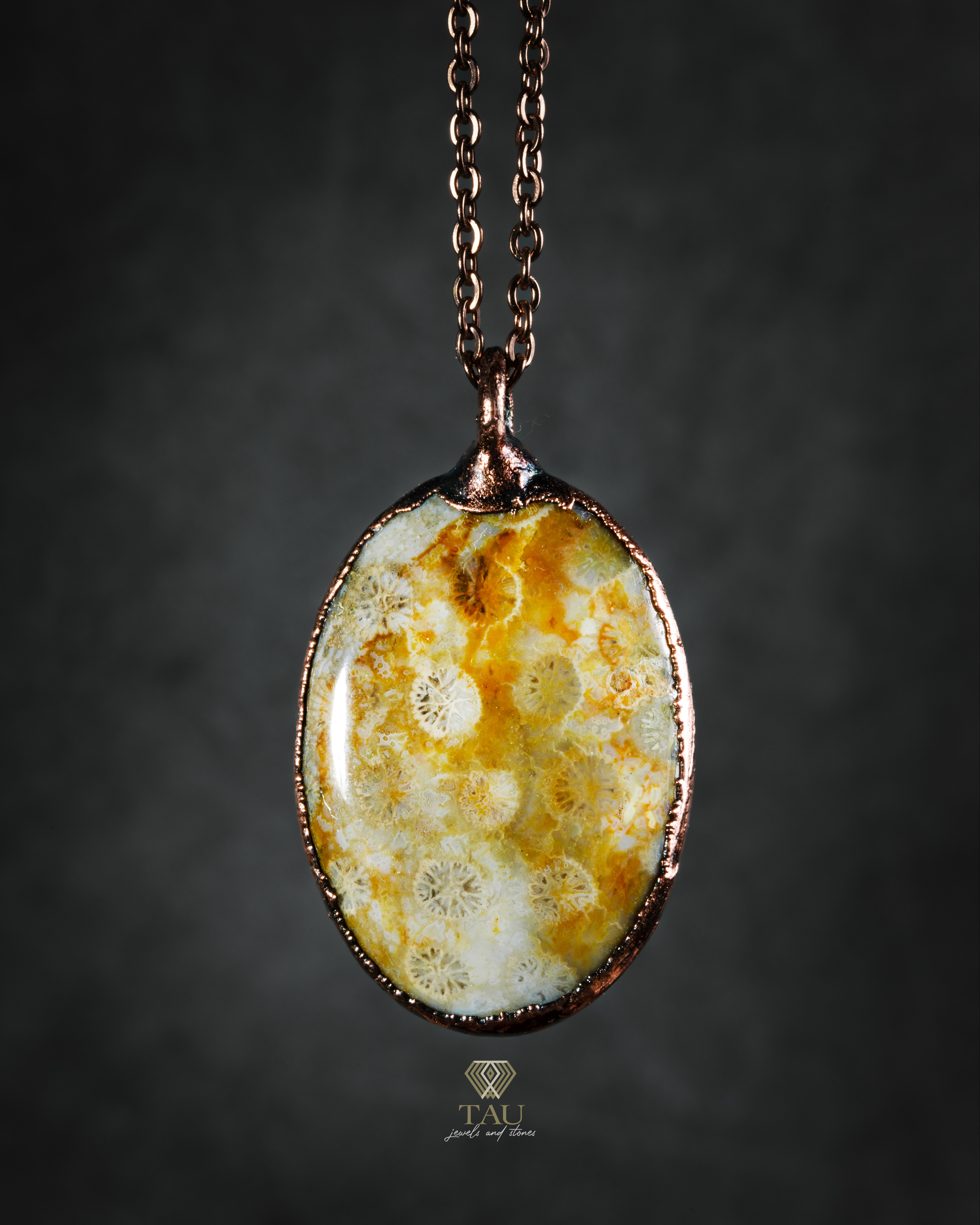 agata corallo fossile - 69€