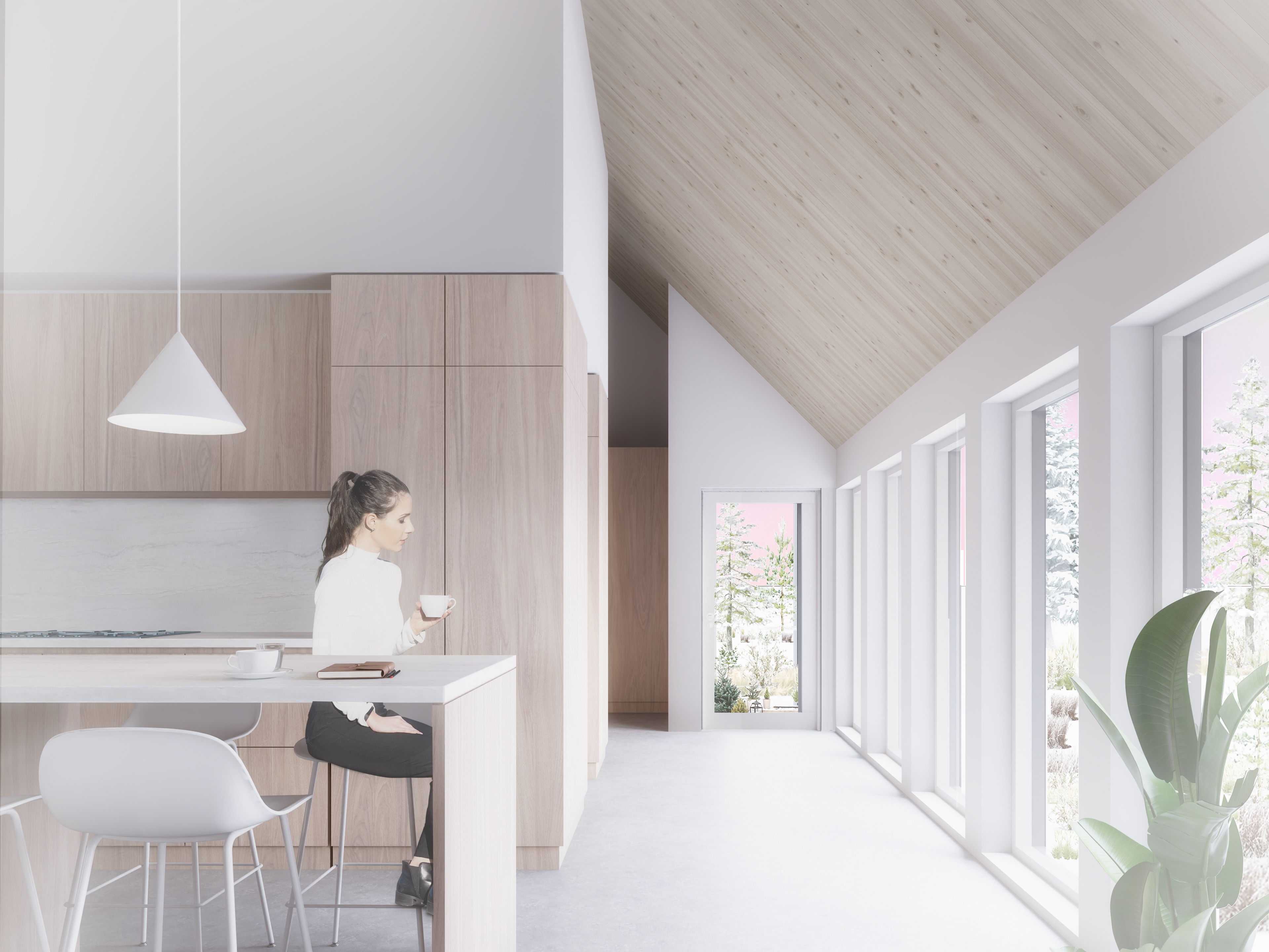 Residence MD_Touchette Architecte_Rendu int 2