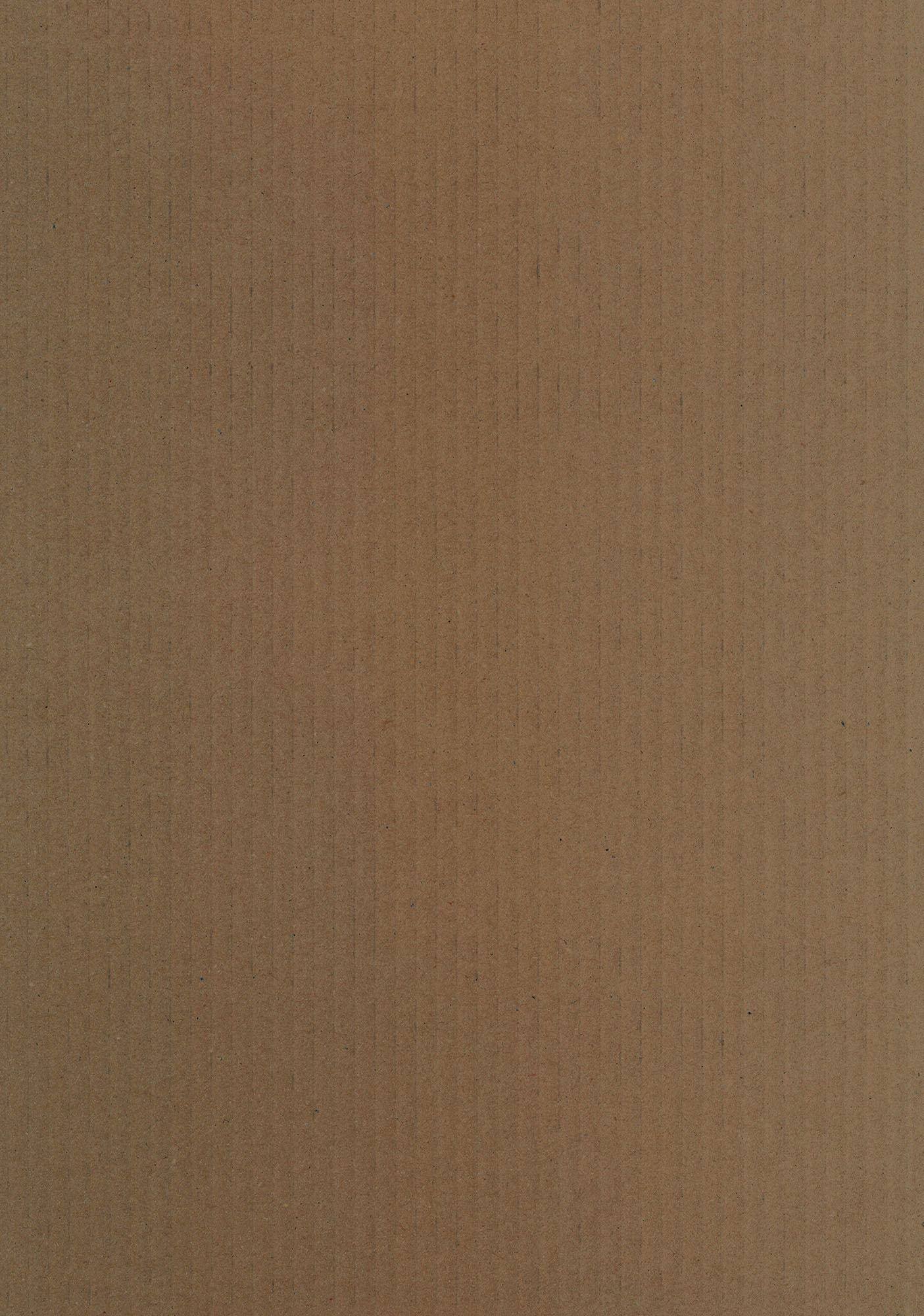 Texture