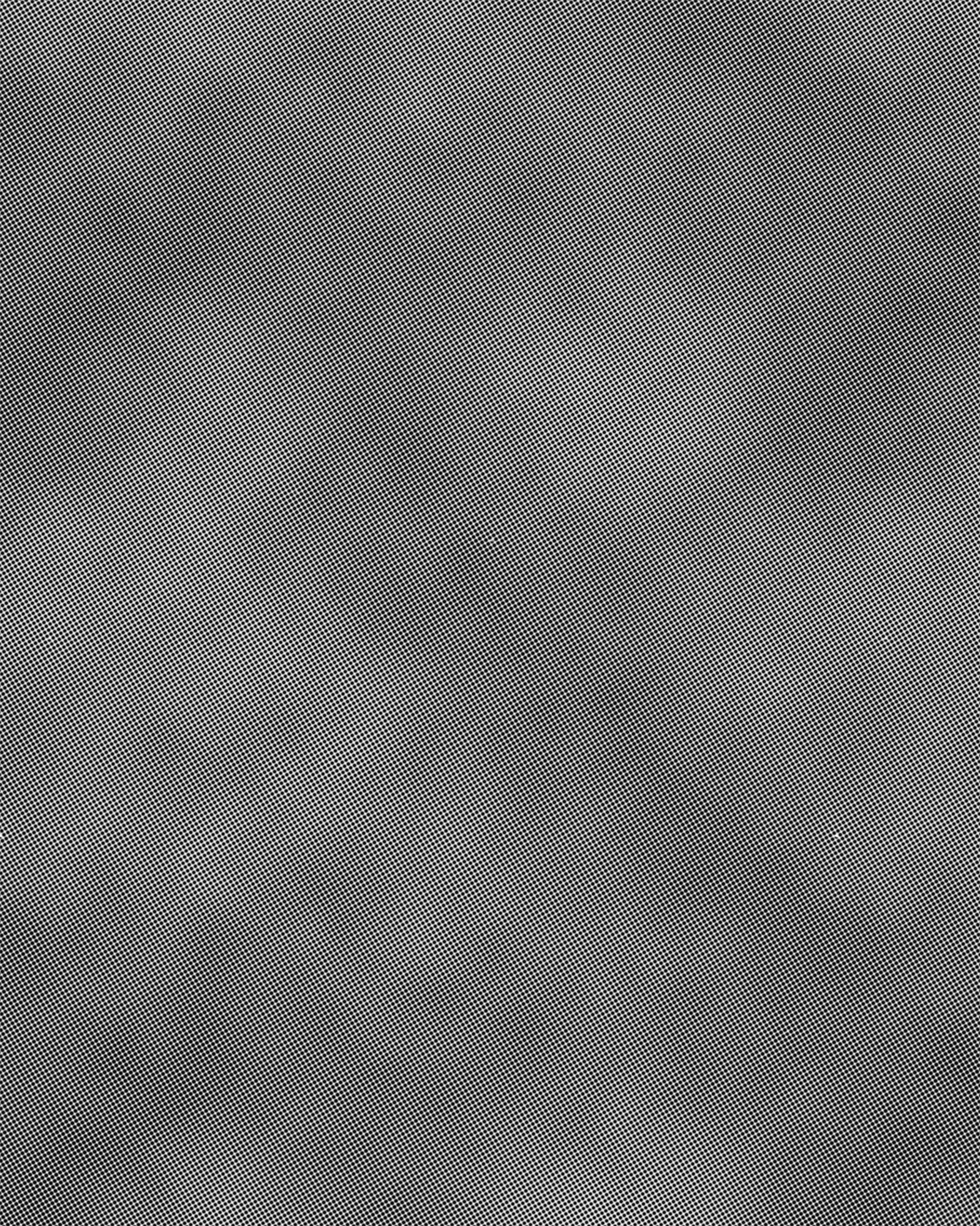 Halftone pattern used in final processing
