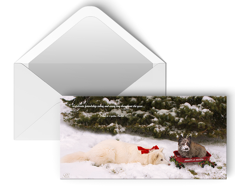 4 x 8 Slimline card with Envelopes