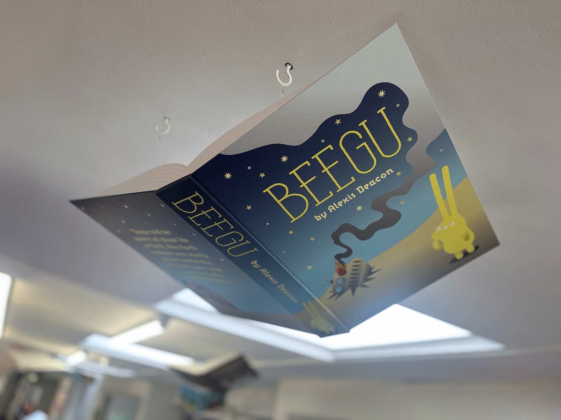 STM FLying Books