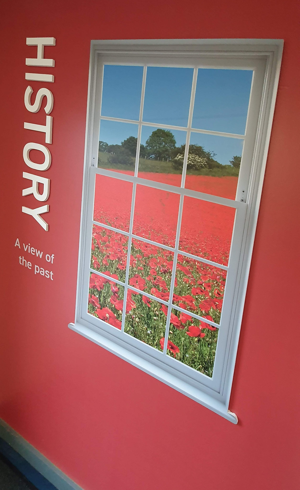 WIndow to the Future