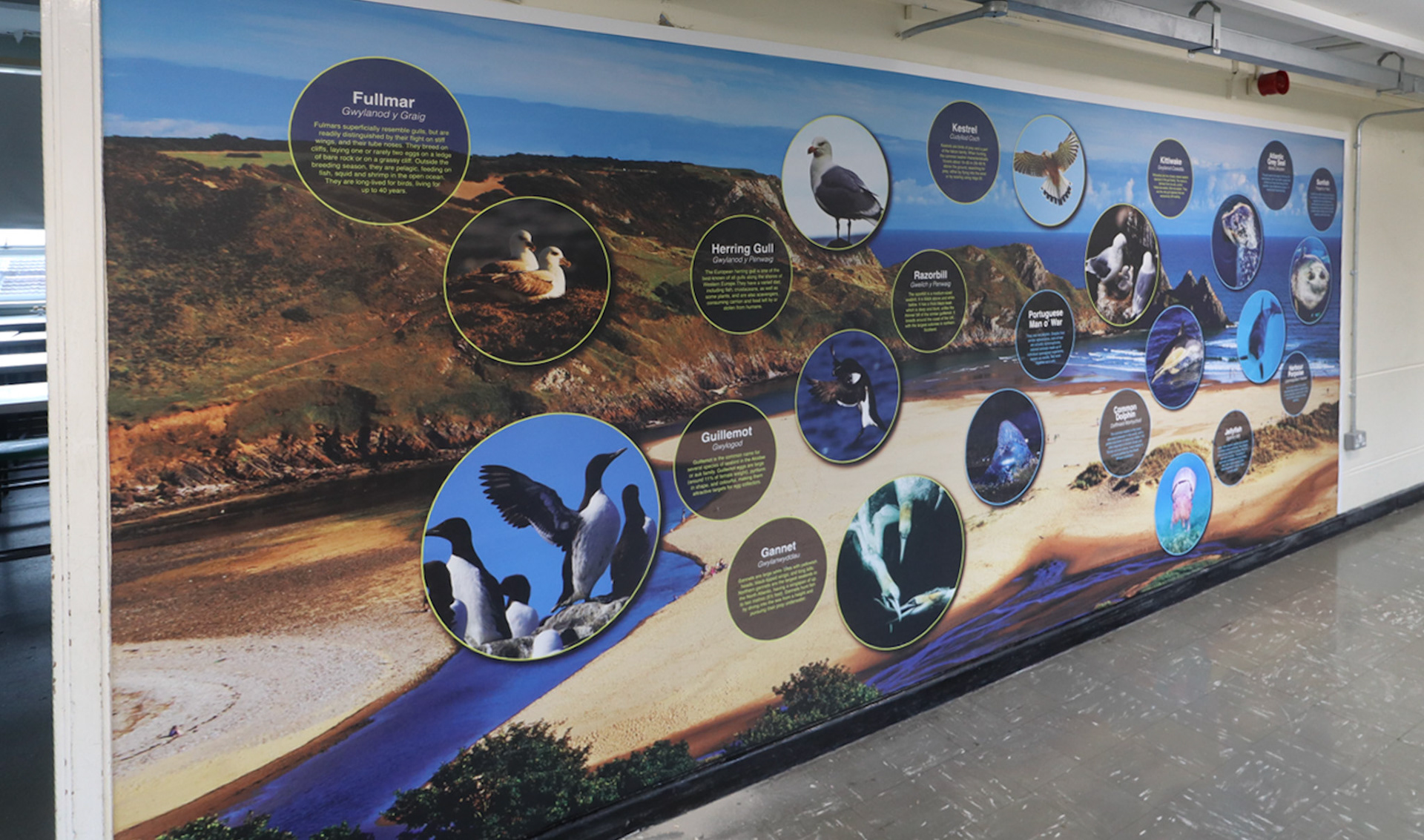 Local Habital Science Wall Art 2