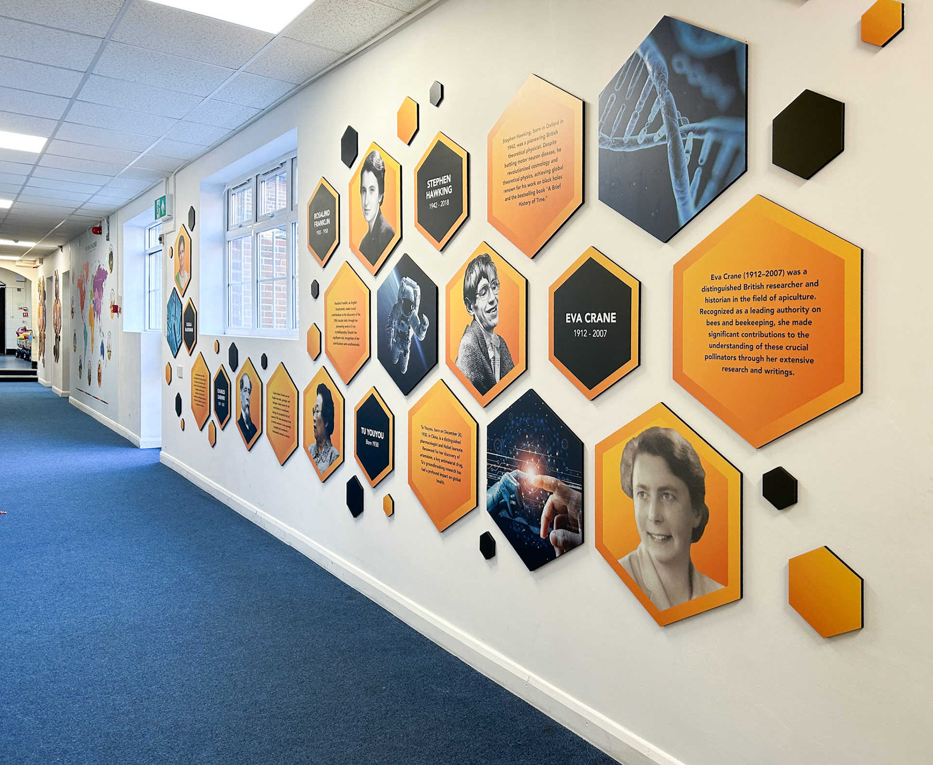 Primary Science Hexagon Wall Display - WFPS1