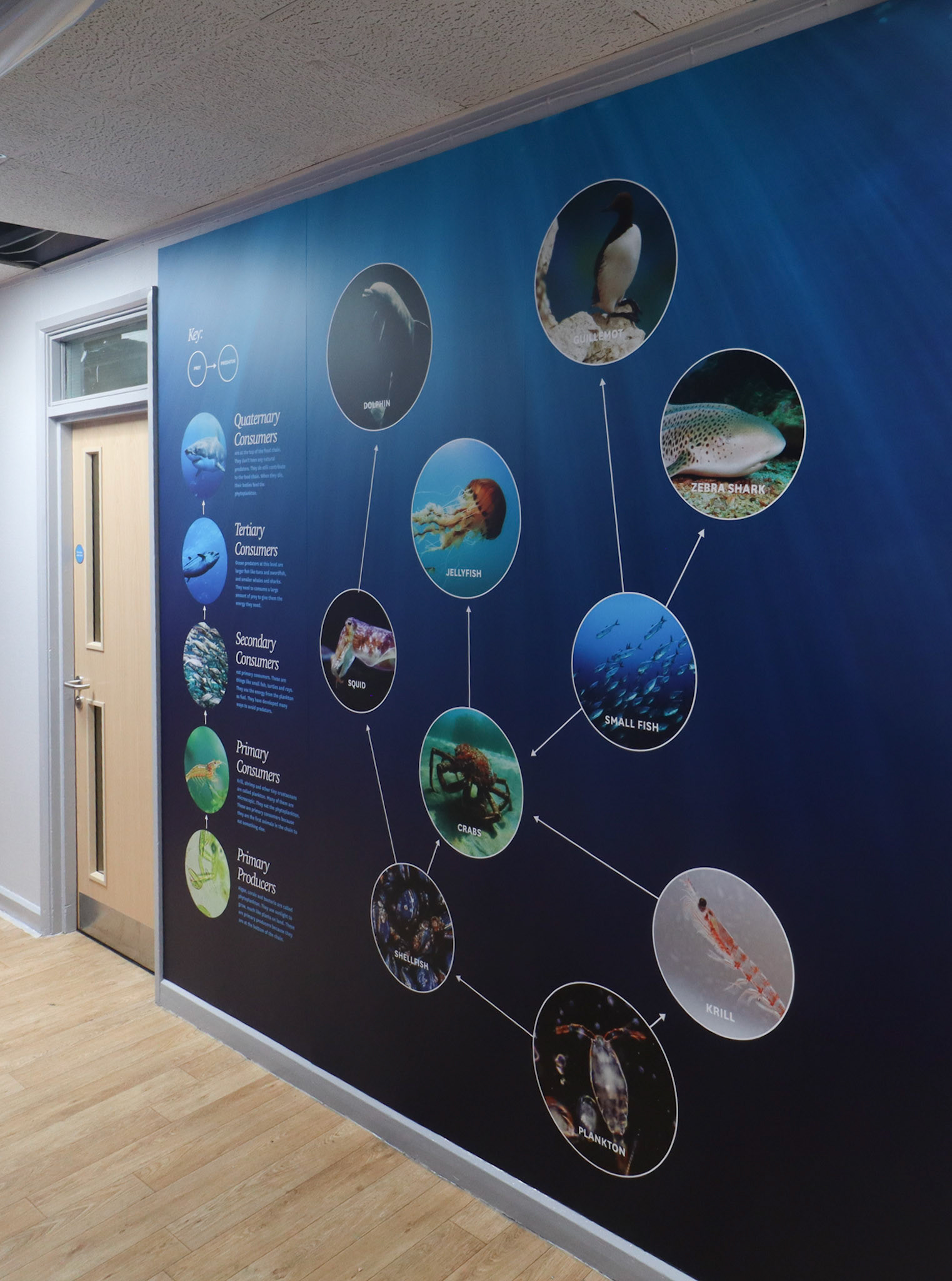 Local Habital Science Wall Art 3