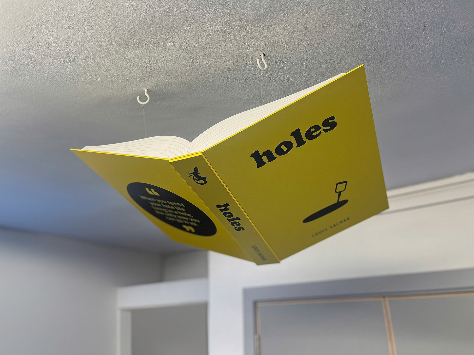 STM FLying Books