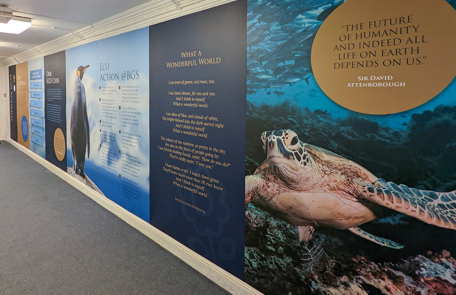 Science Eco Code Wall Art - BGS