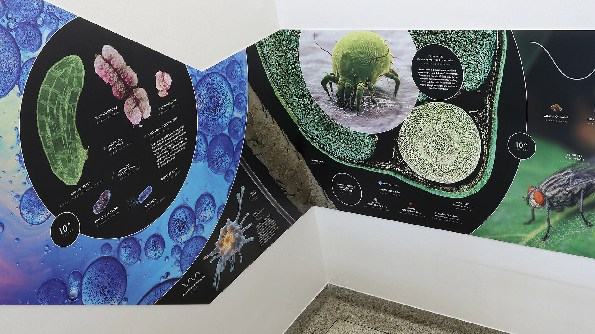 Scale of the Universe Staircase Display - Kings College