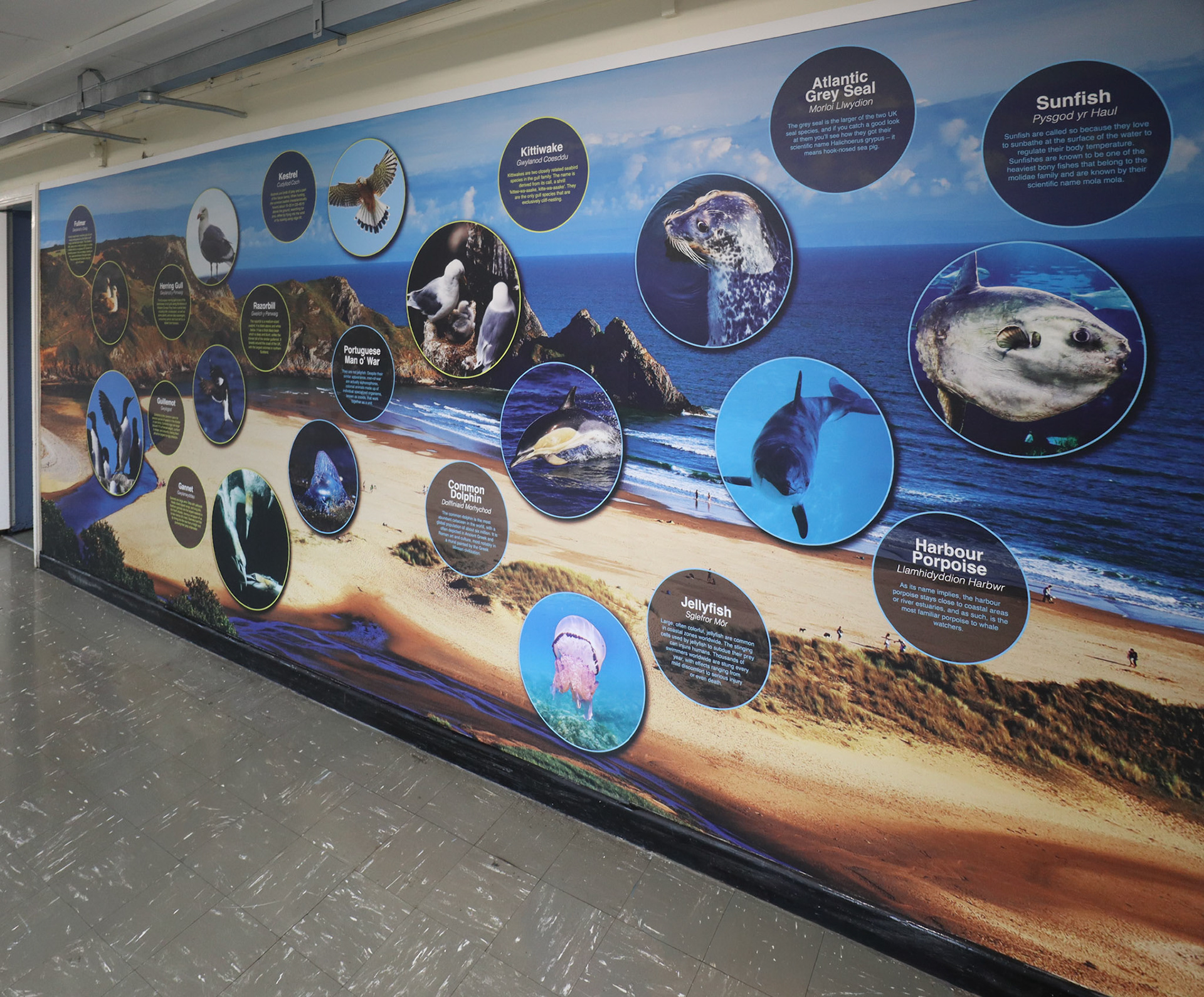 Local Habital Science Wall Art 1