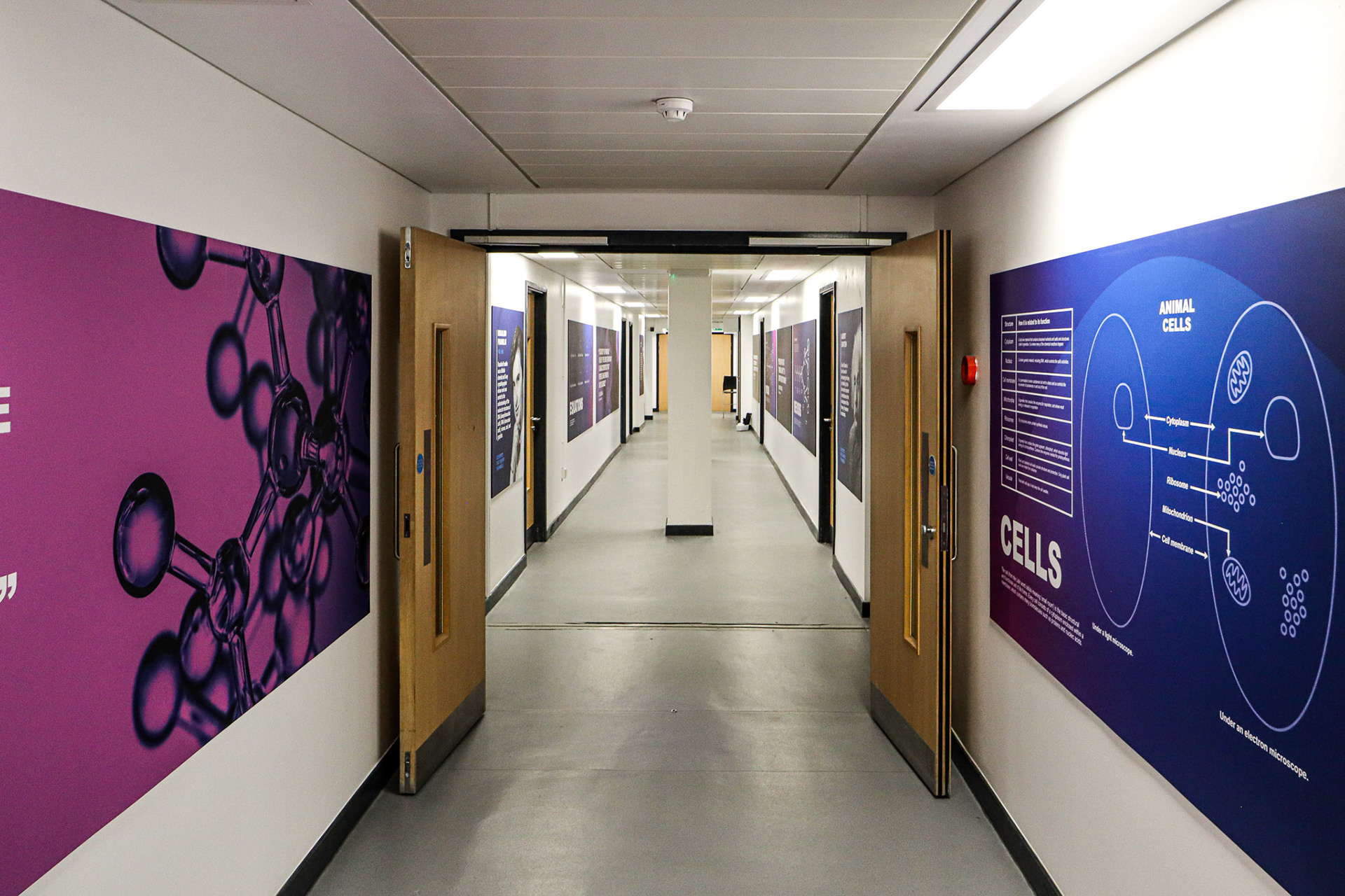 Science Corridor Wall Boards - SAS