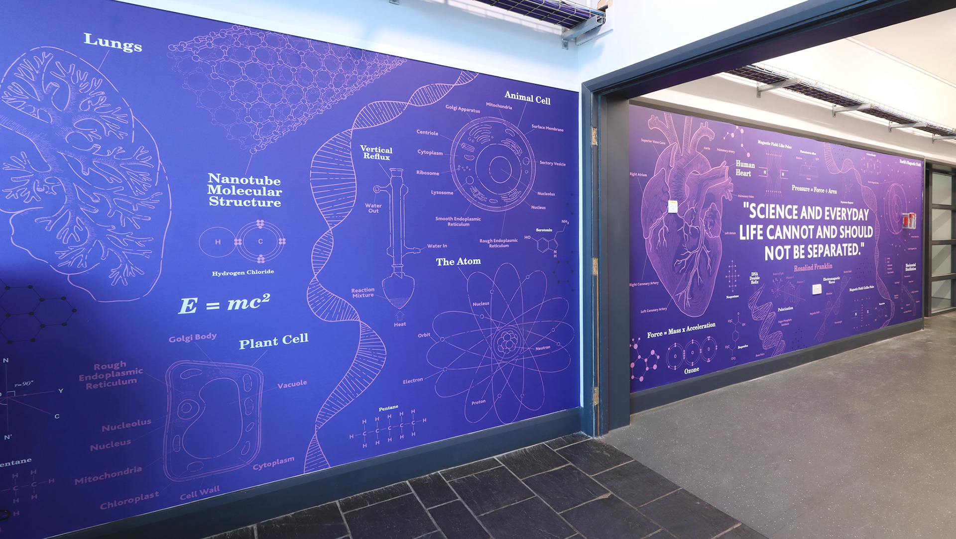 Blueprint Science (purple) - ACA02