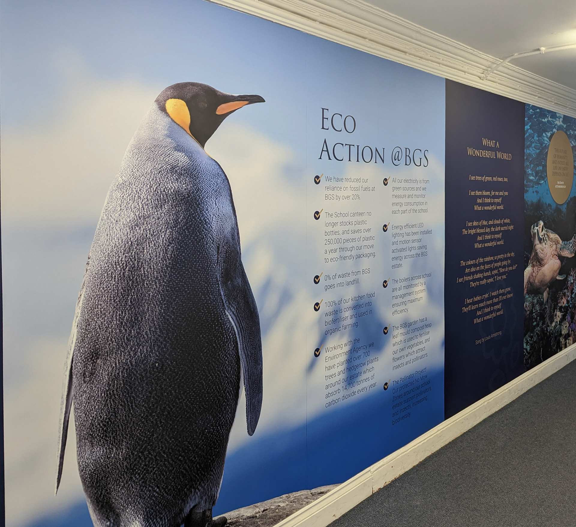 Science Eco Code Wall Art - BGS