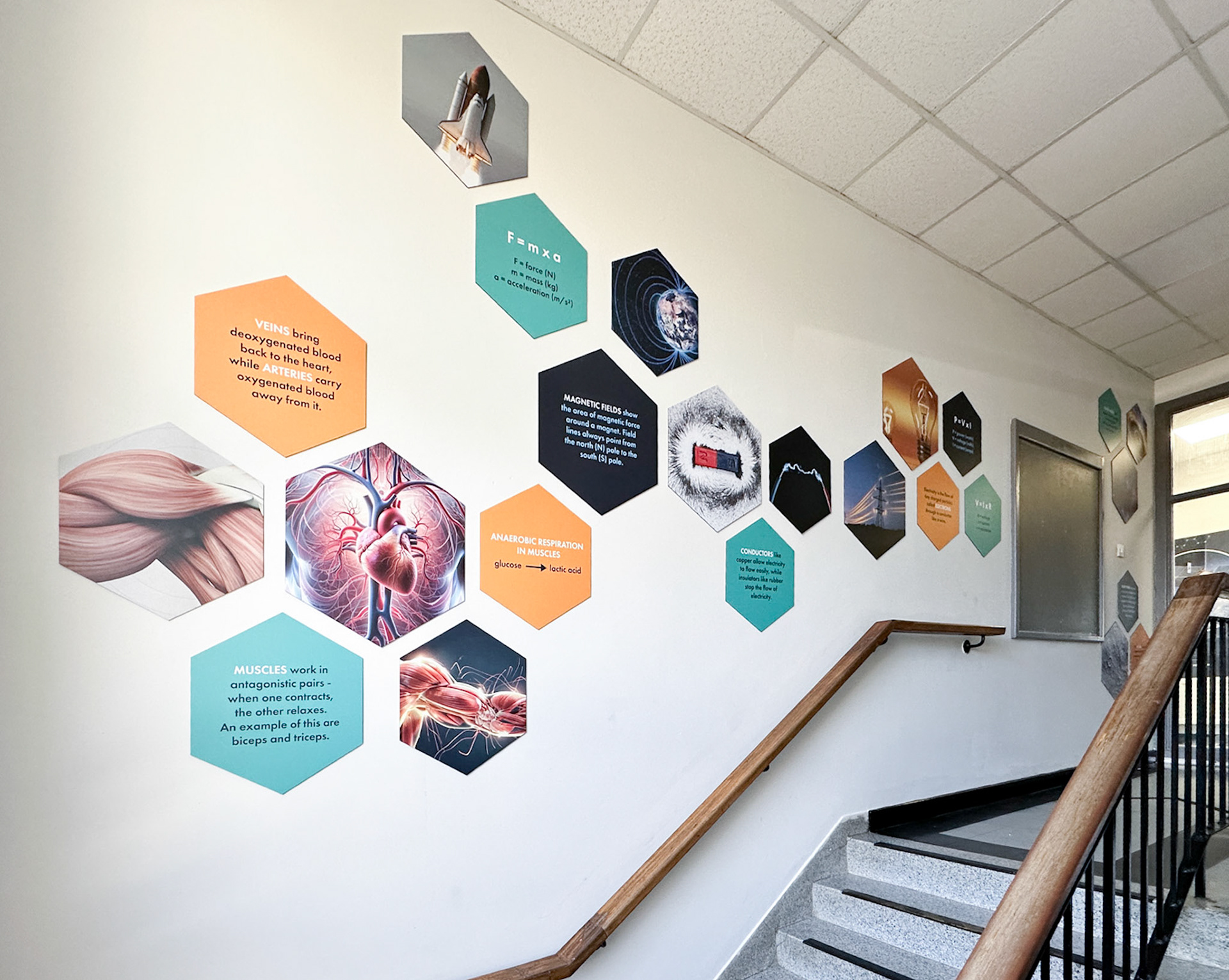 Science Hexagon Staircase Display - BWAS1