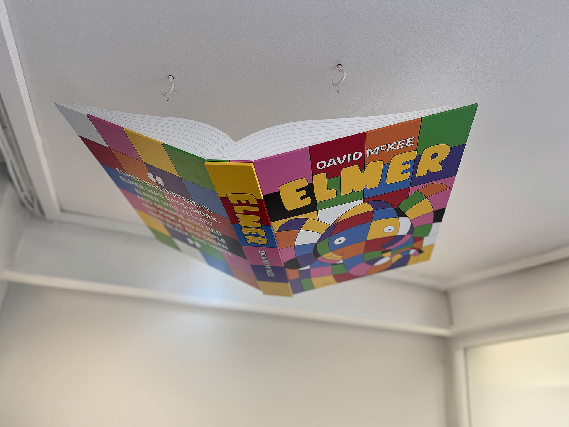 STM FLying Books
