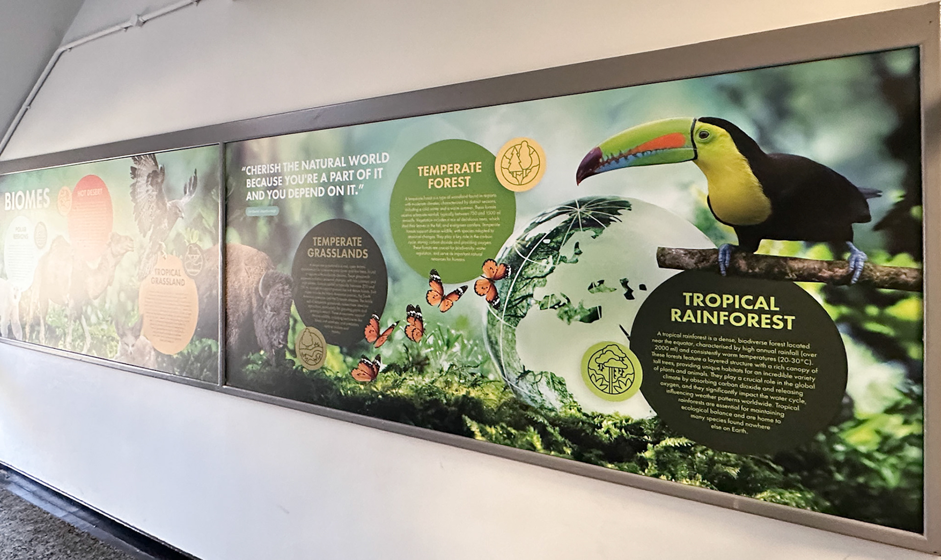 Science Biomes Wallboard - BWAS1