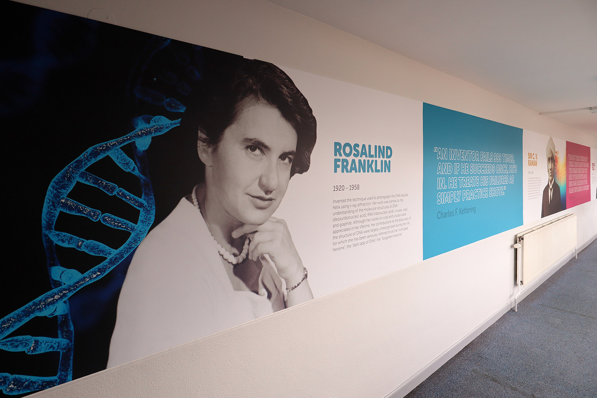 Notable Innovators Wallboards - SP06