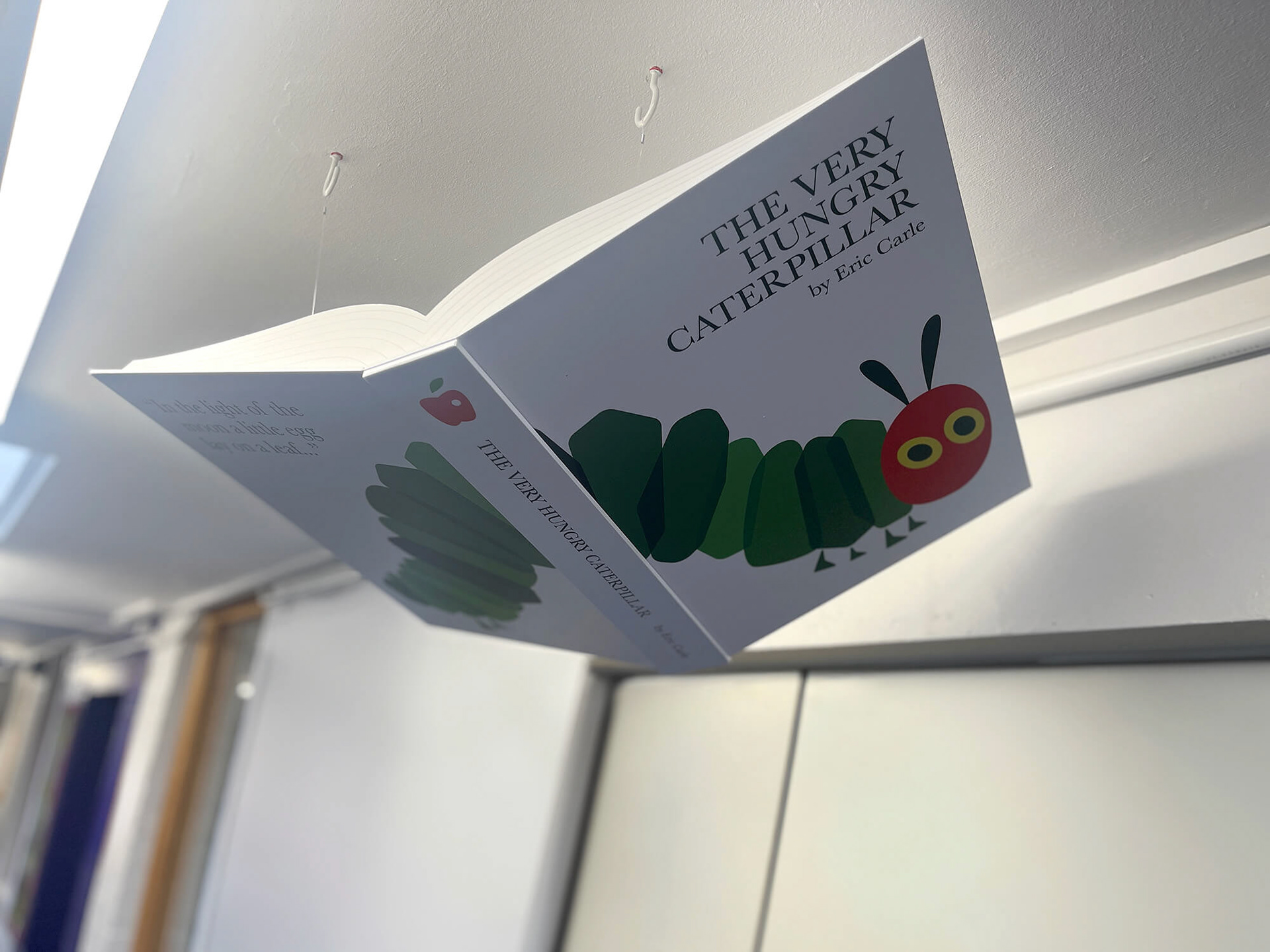 STM FLying Books