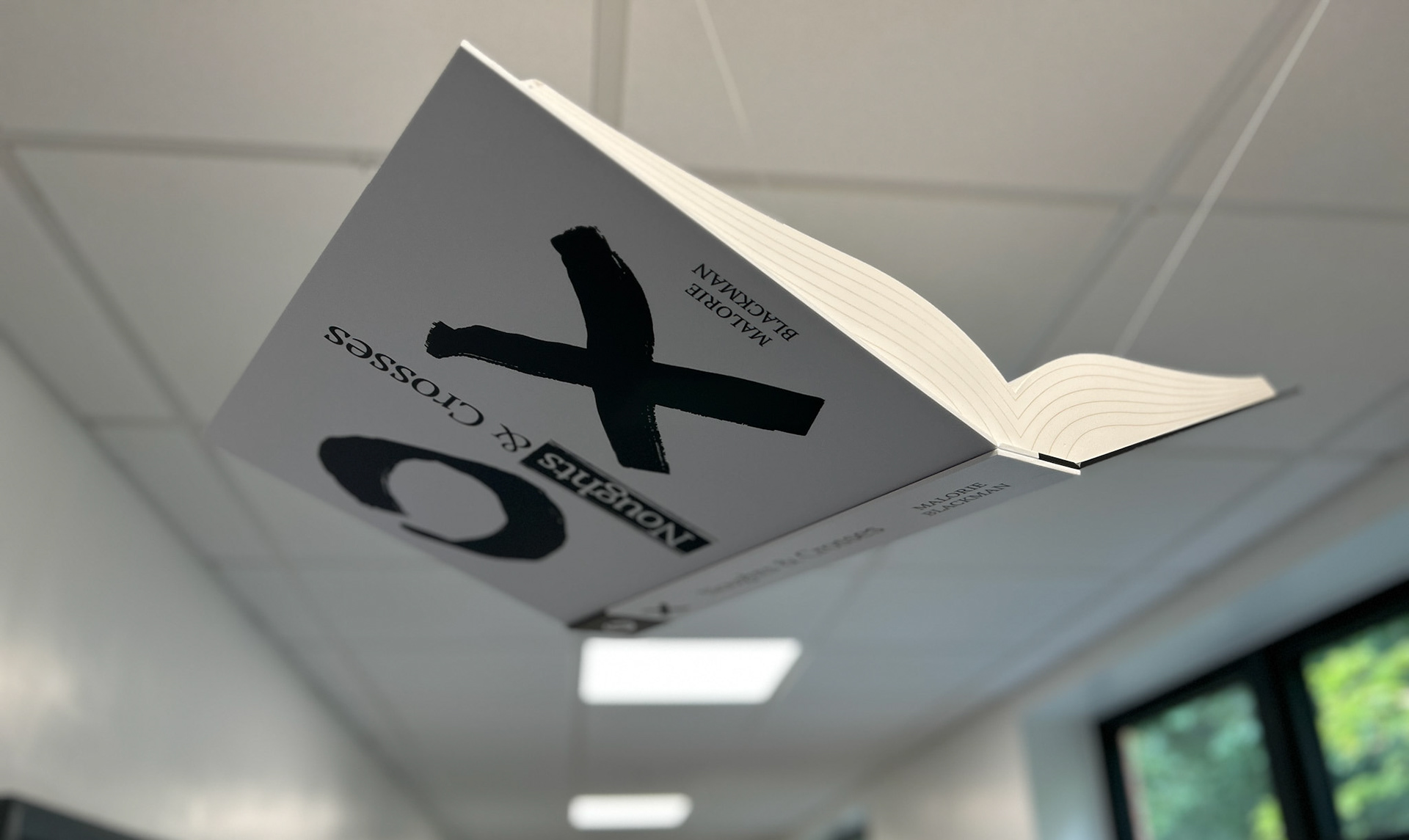3D Flying Books - BVS02