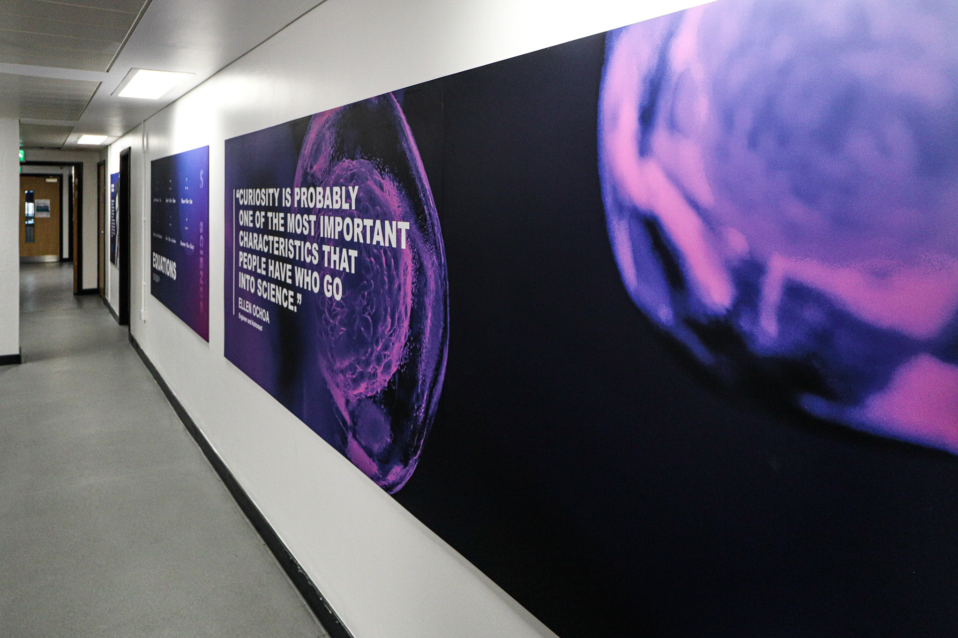 Science Corridor Wall Boards - SAS