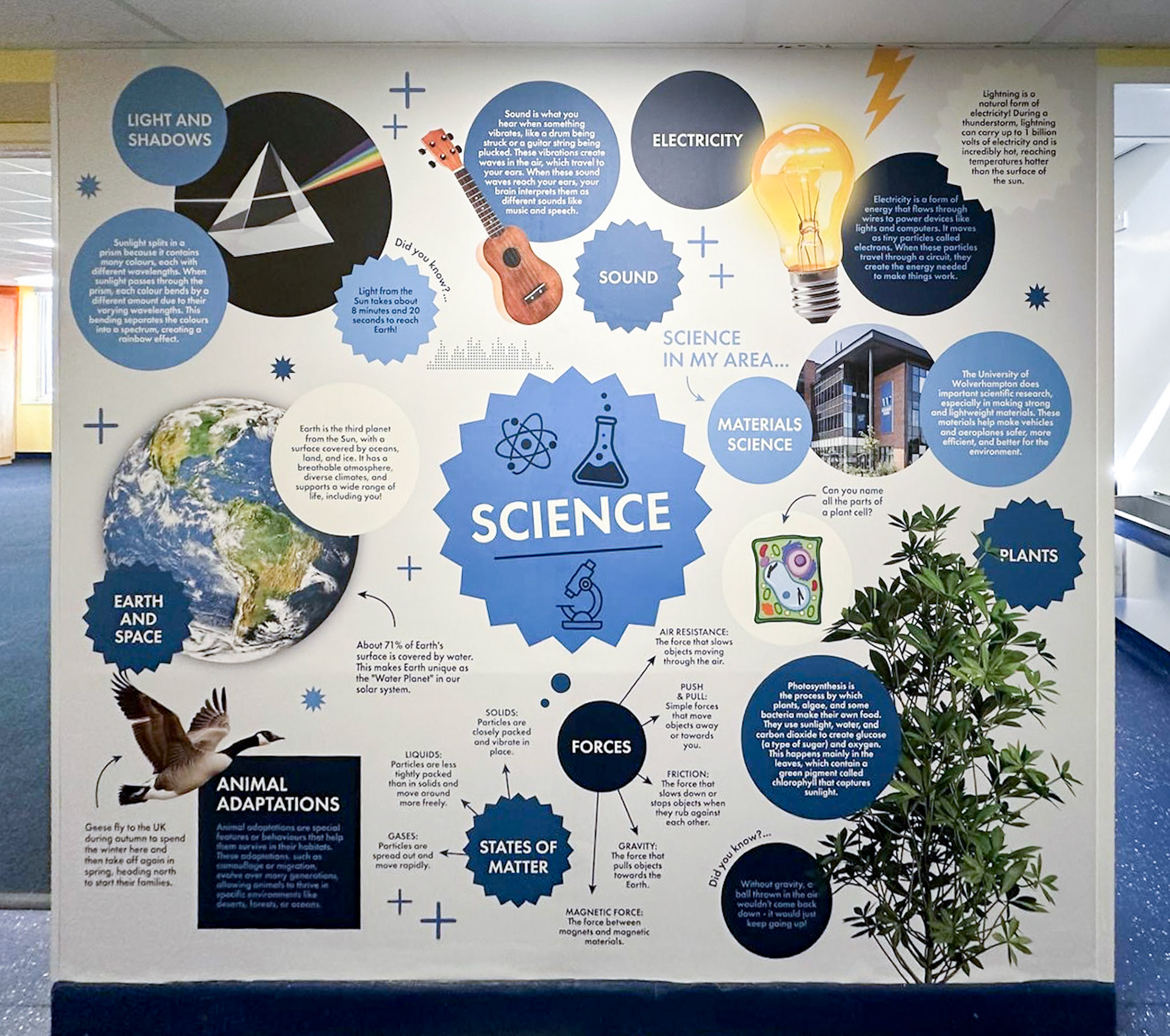 Science Encyclopedia Wall Art 1