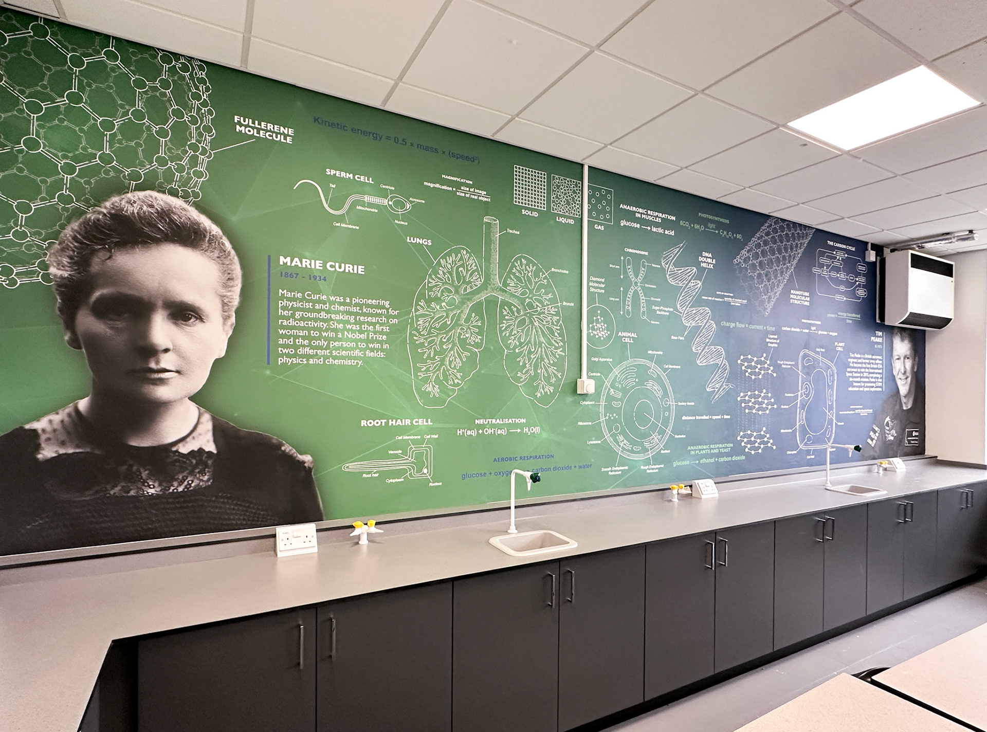 Blueprint Science Labs Wall Art - TLA3