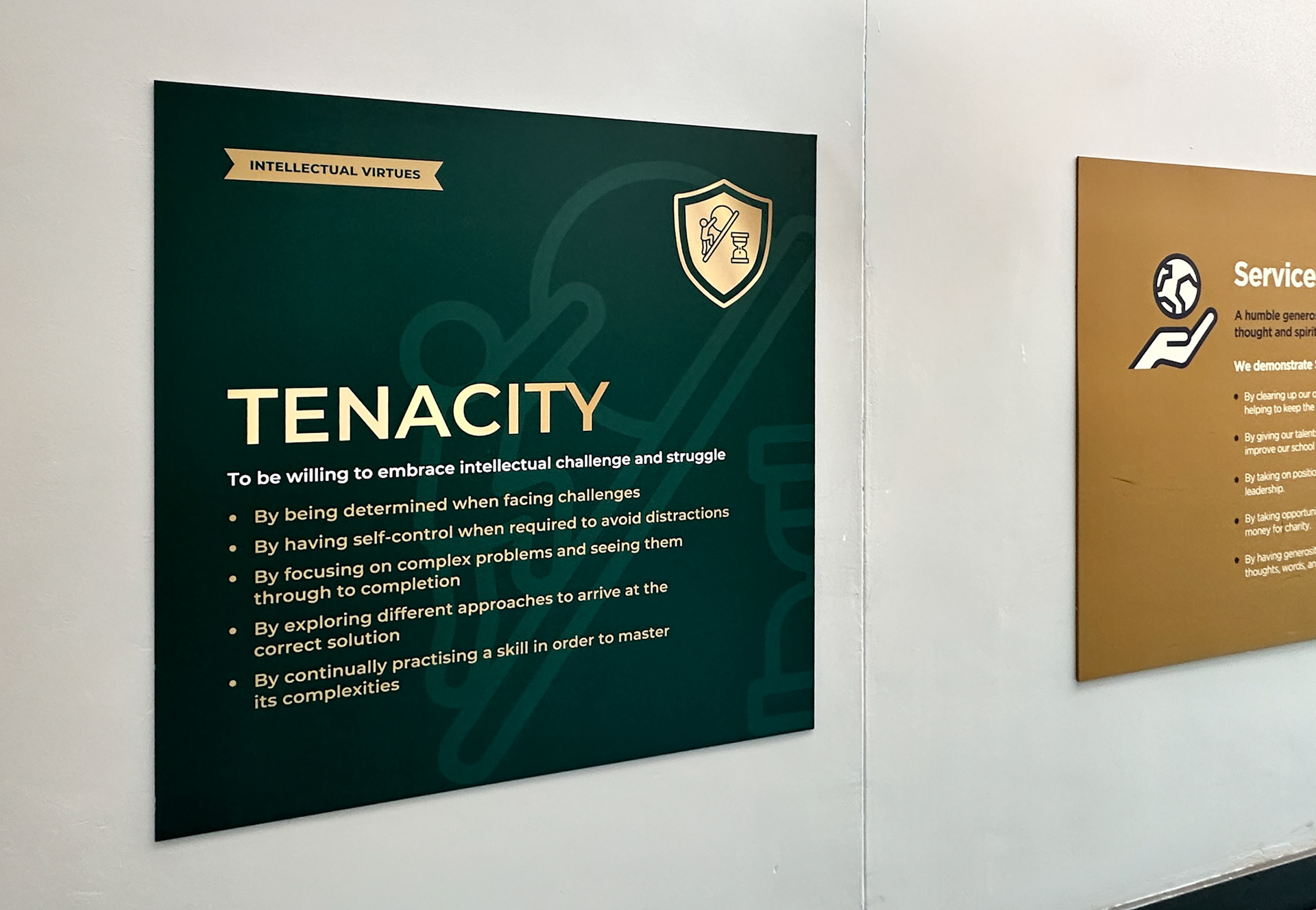 Intelletual Values Wallboards - RSS02