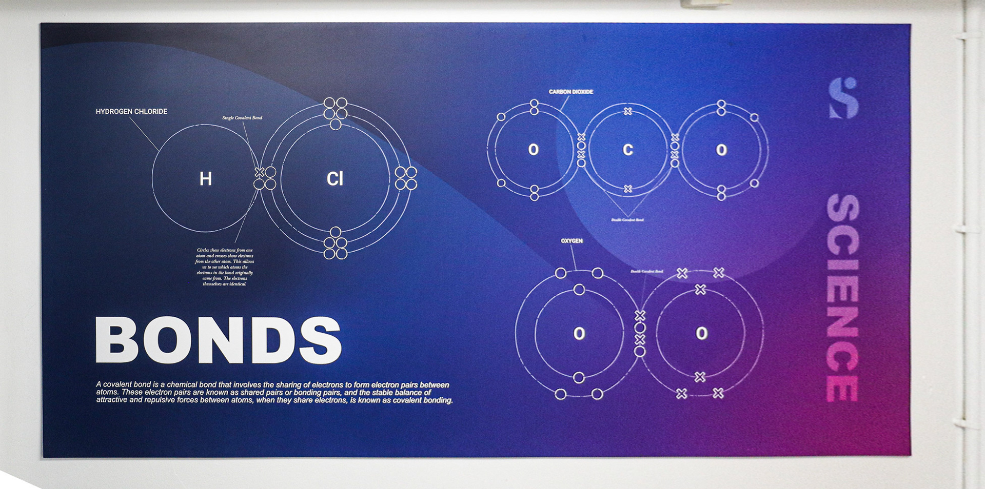 Science Corridor Wall Boards - SAS