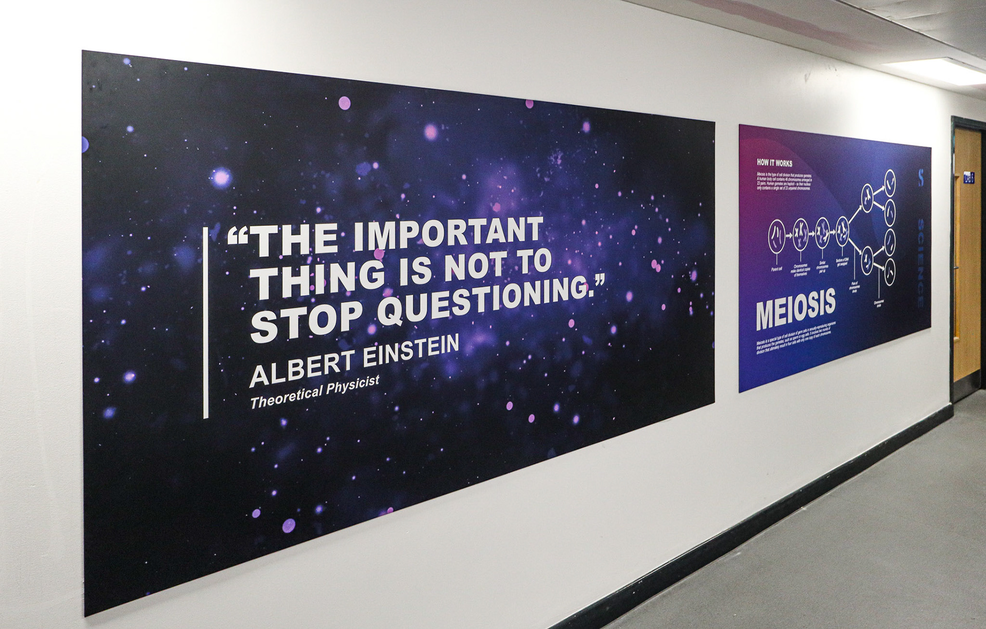 Science Corridor Wall Boards - SAS