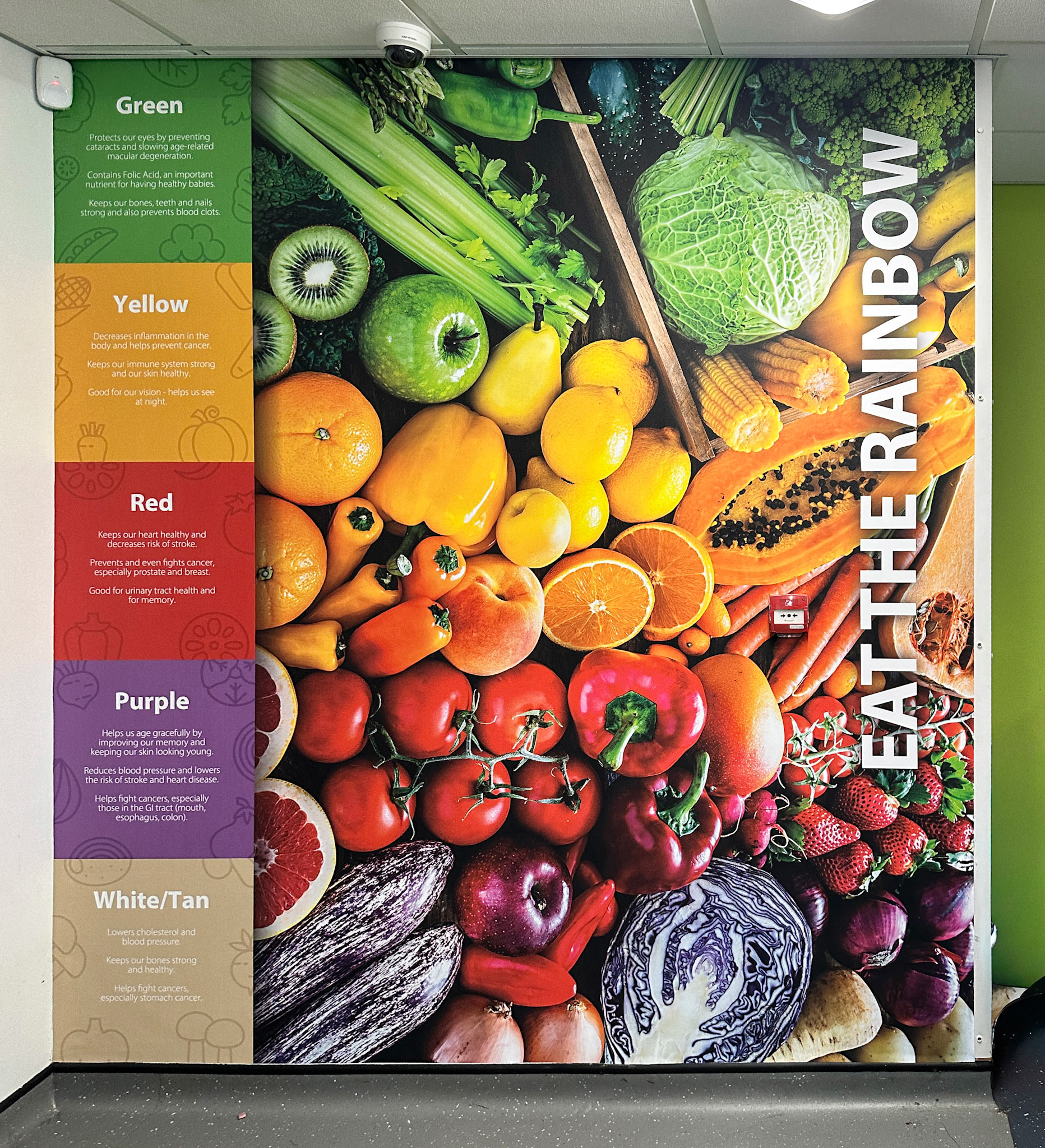 Eat The Rainbow Vinyl Graphic 01