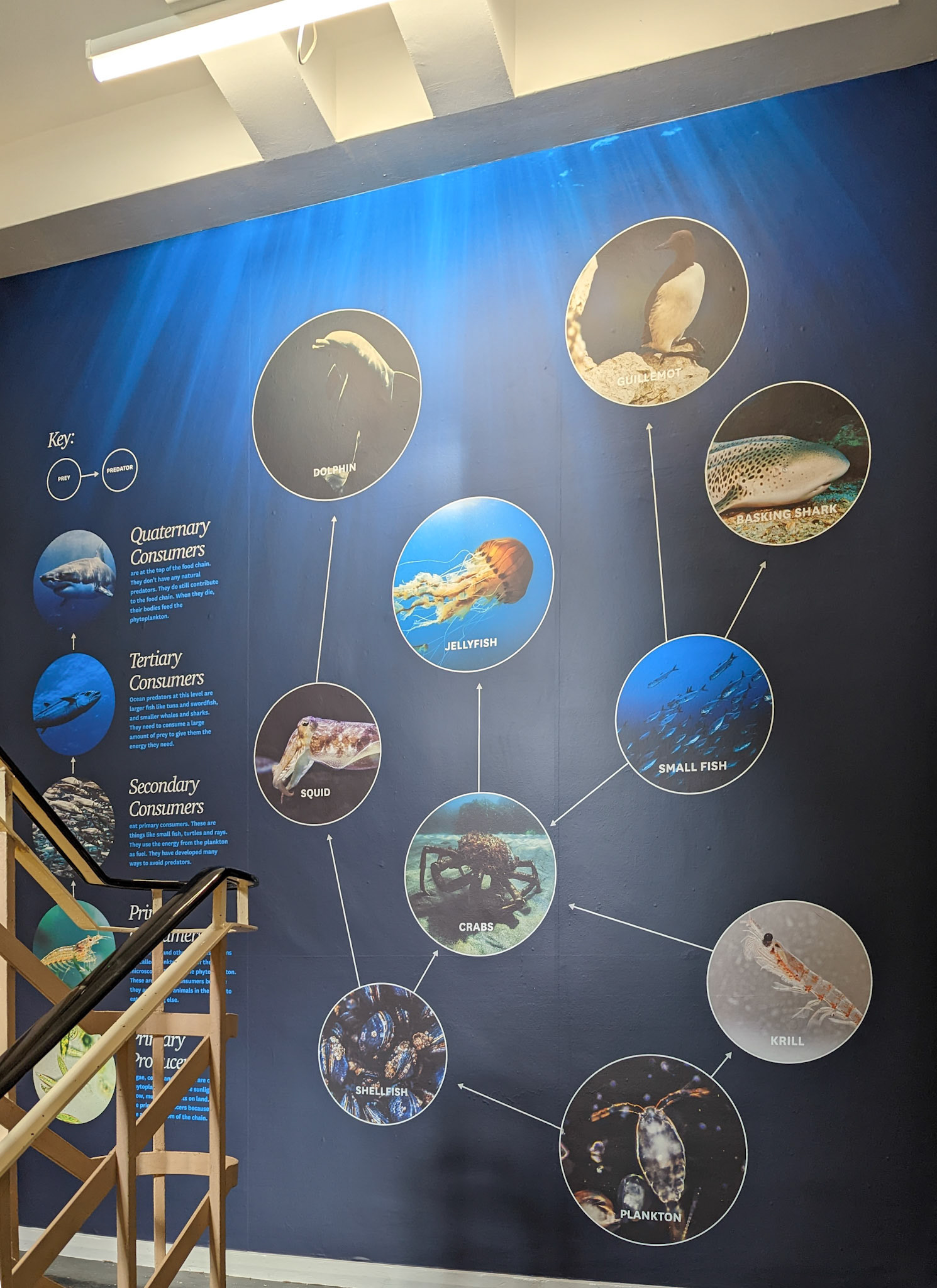 Local Habital Science Wall Art 4