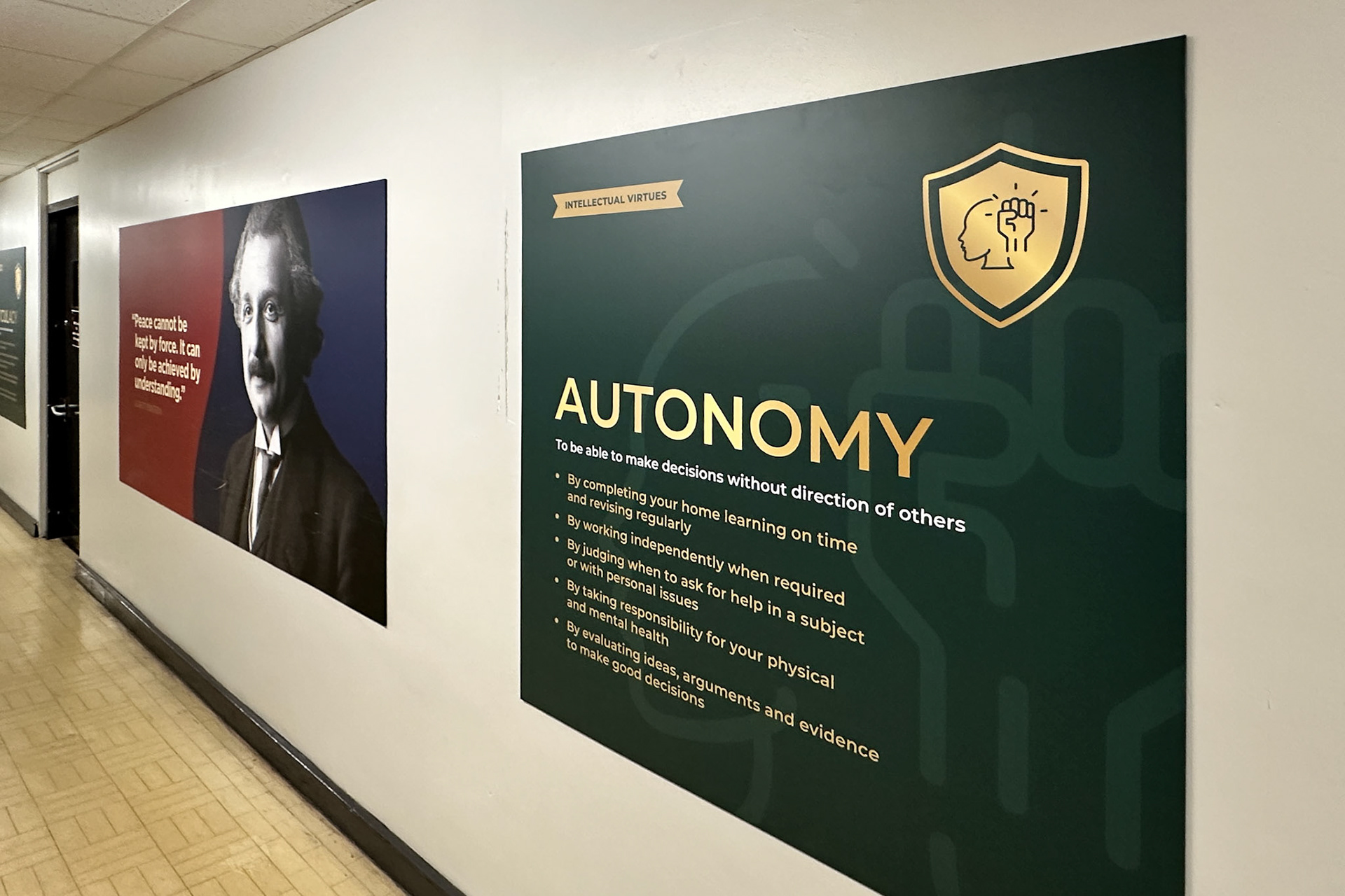 Intelletual Values Wallboards - RSS01