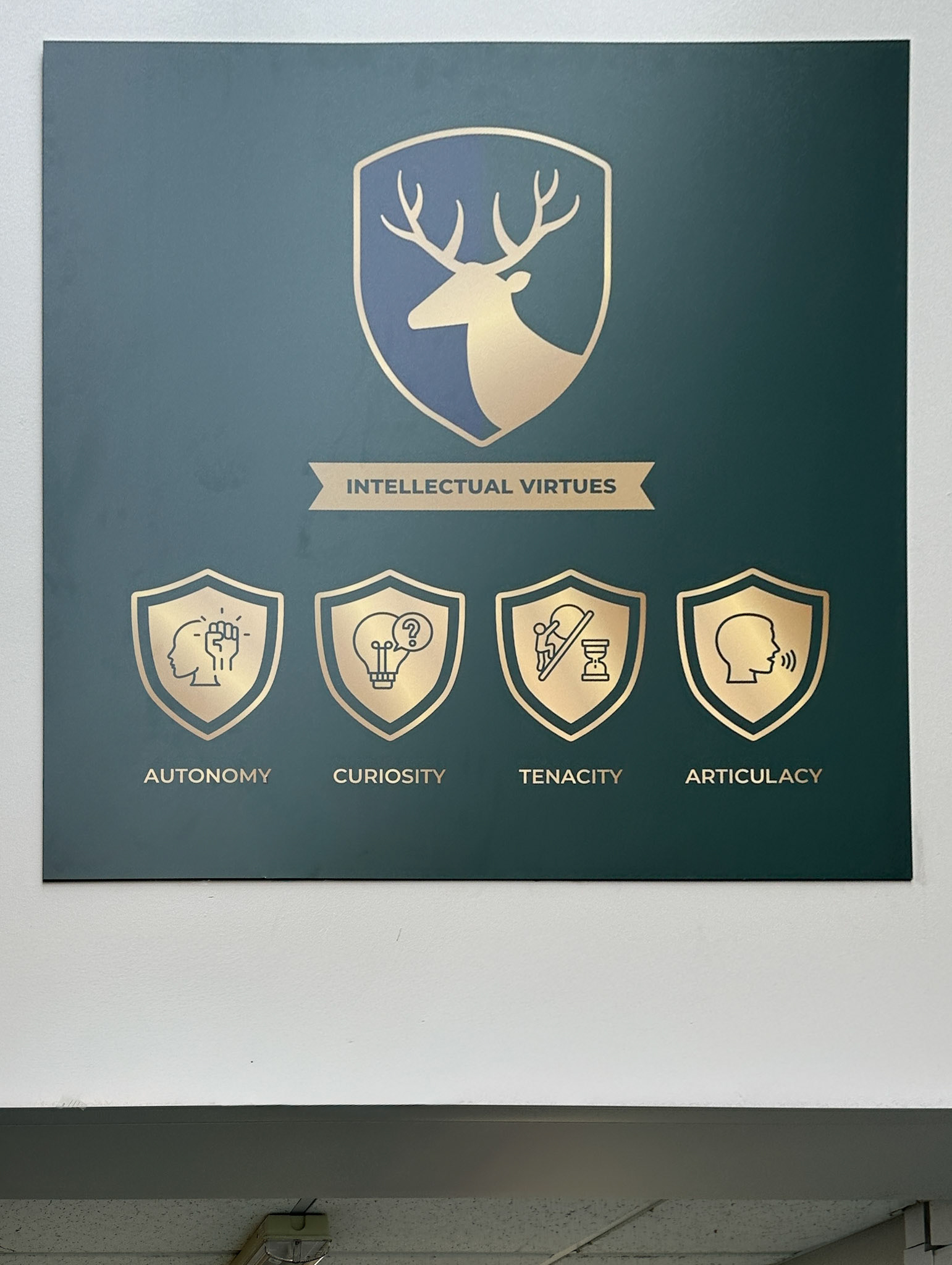 Intelletual Values Wallboards - RSS03